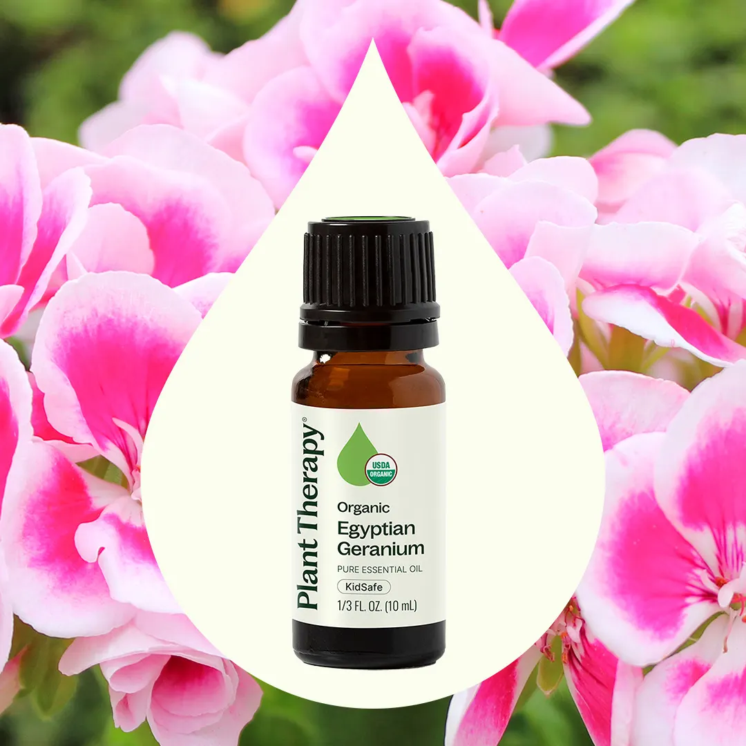 Organic Egyptian Geranium Essential Oil - Image 4