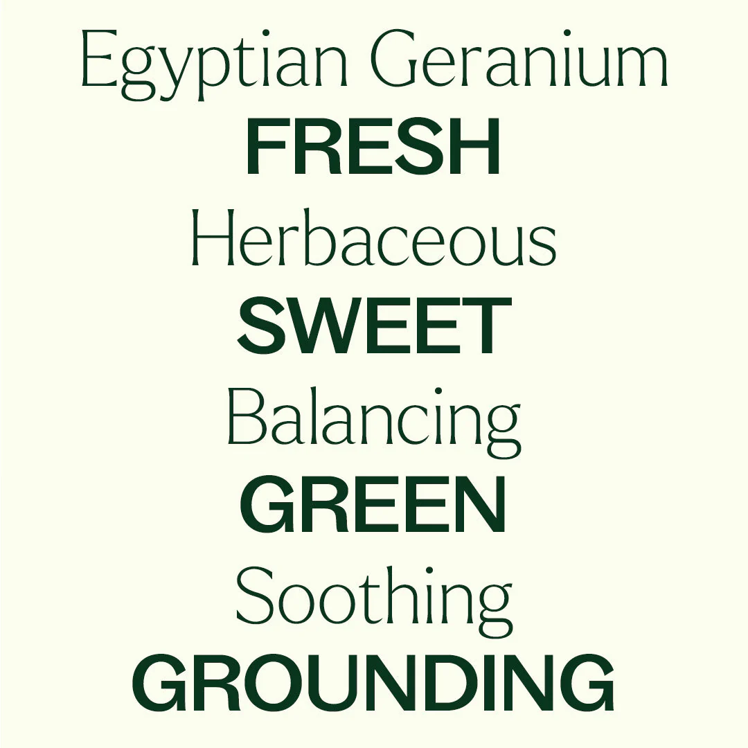 Organic Egyptian Geranium Essential Oil - Image 6