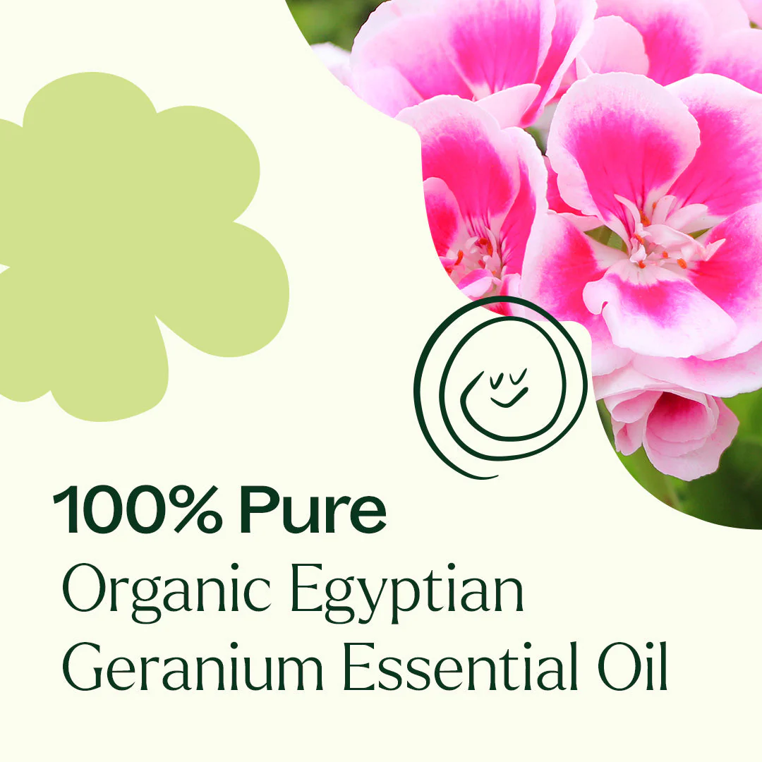 Organic Egyptian Geranium Essential Oil - Image 9