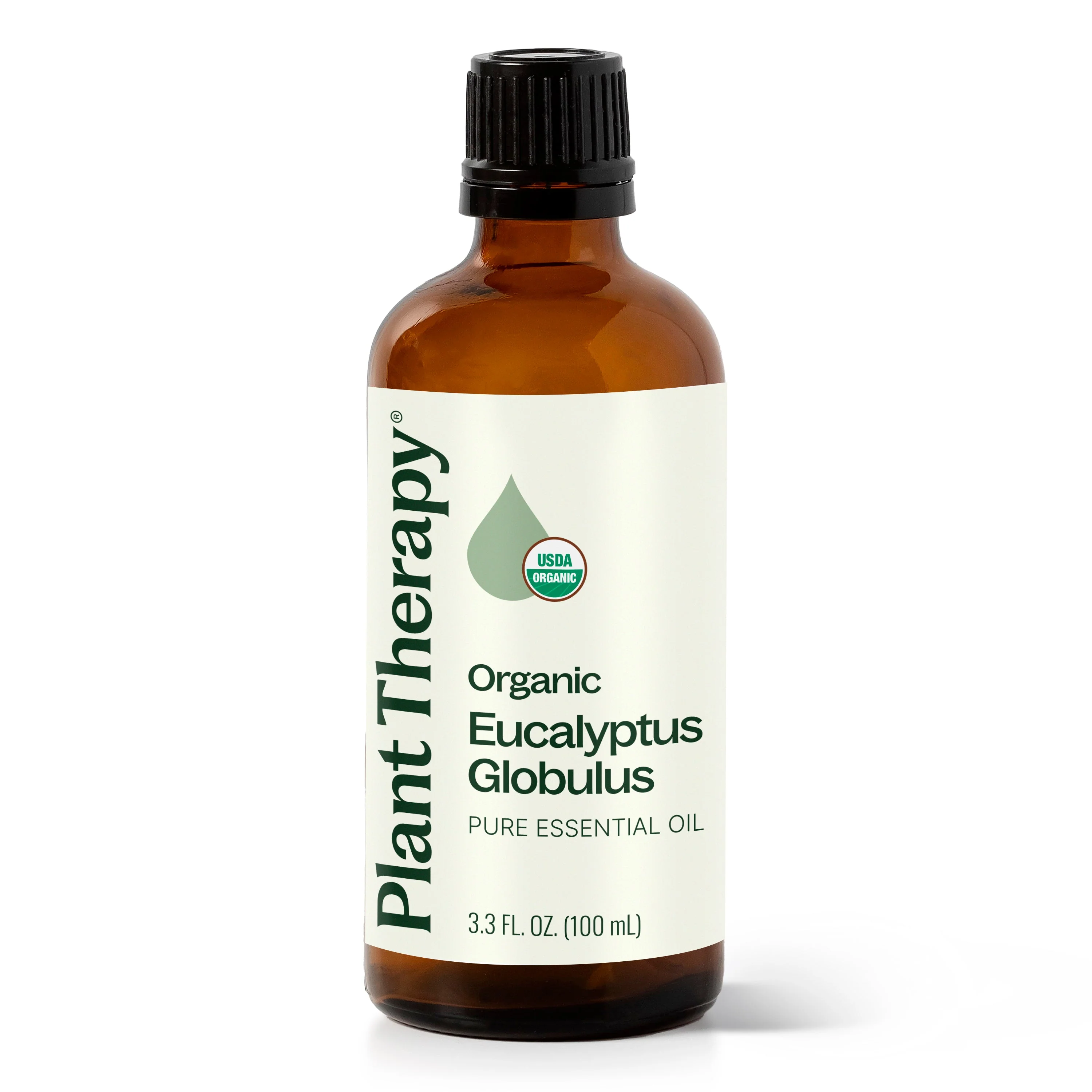 Organic Eucalyptus Globulus Essential Oil - Image 11