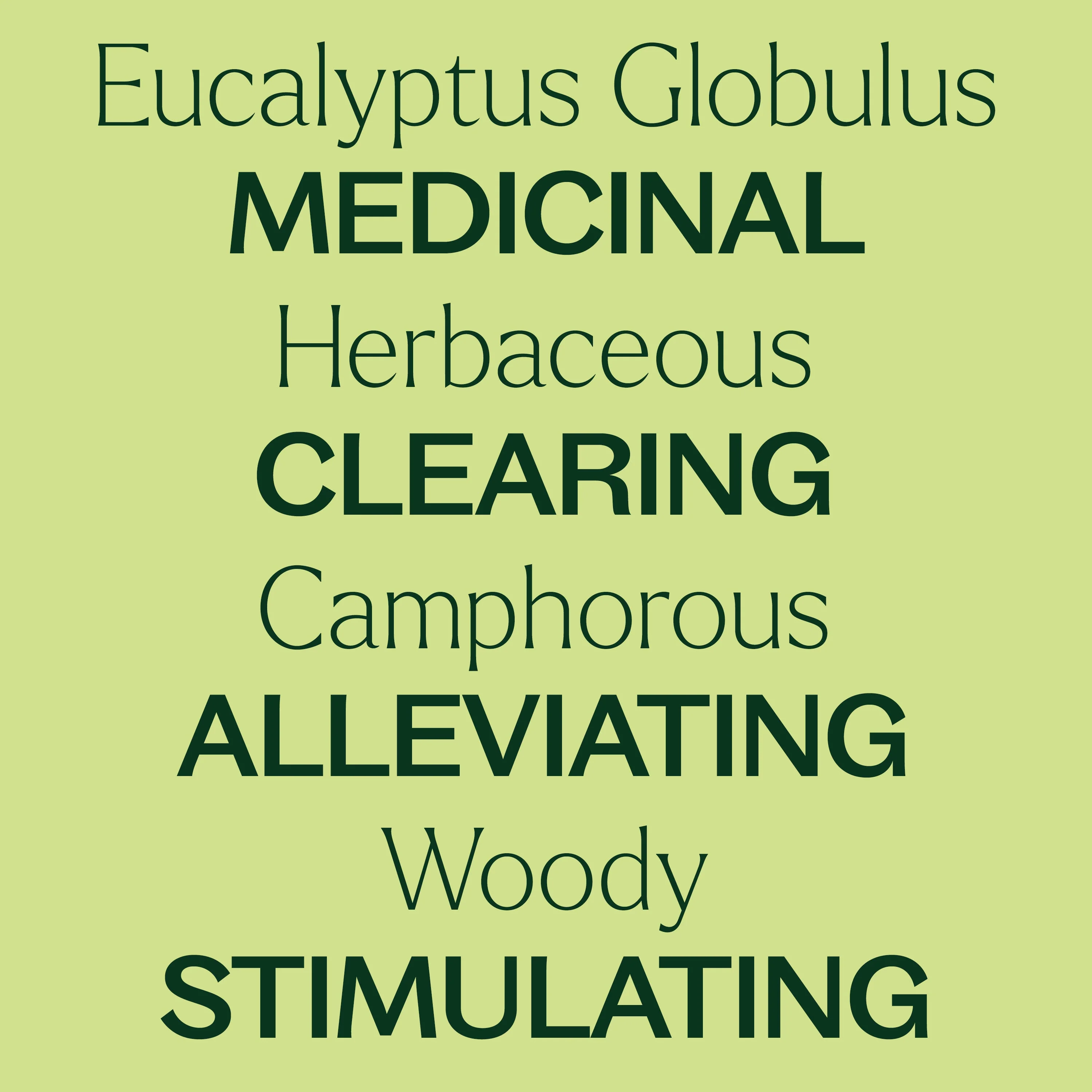Organic Eucalyptus Globulus Essential Oil - Image 3