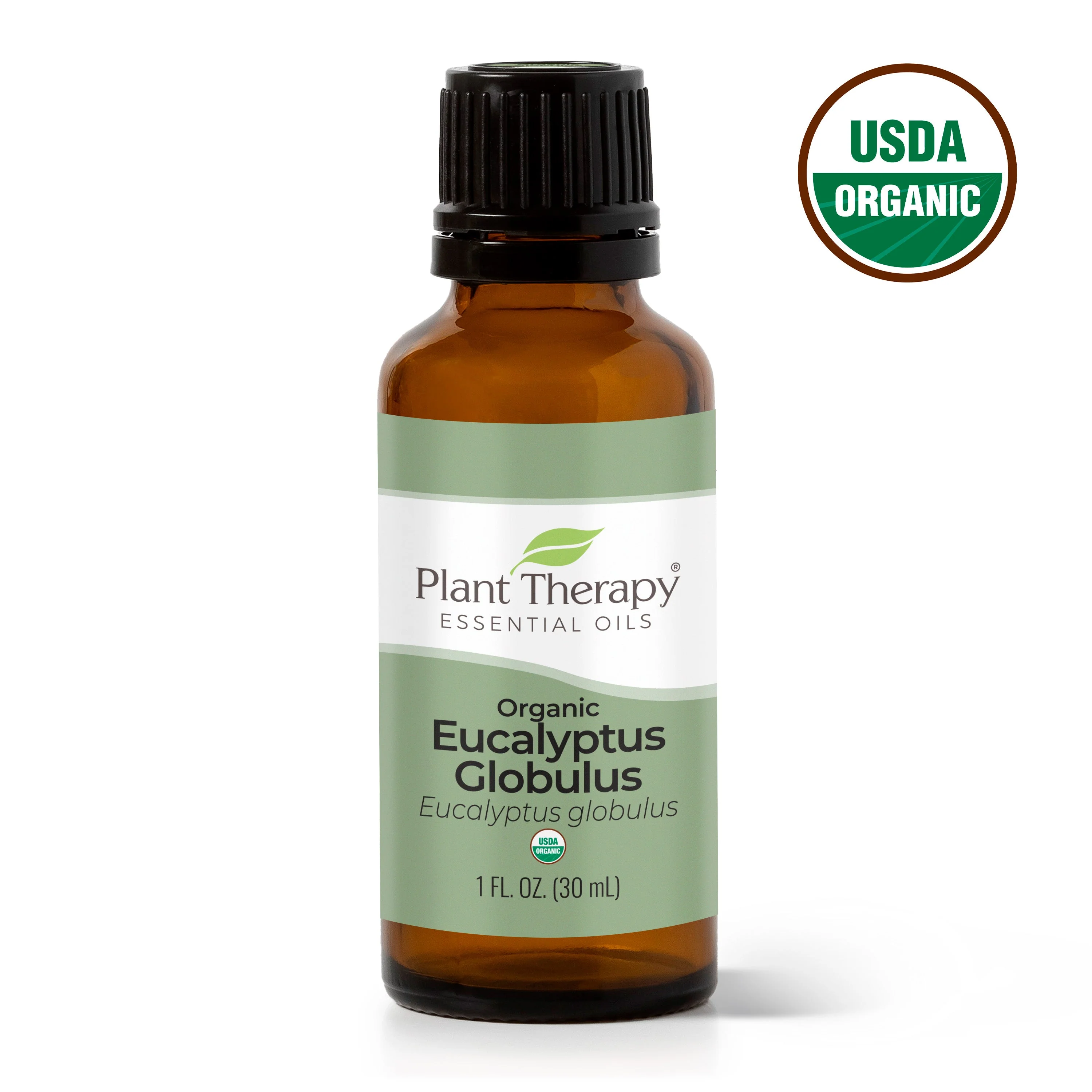 Organic Eucalyptus Globulus Essential Oil - Image 7