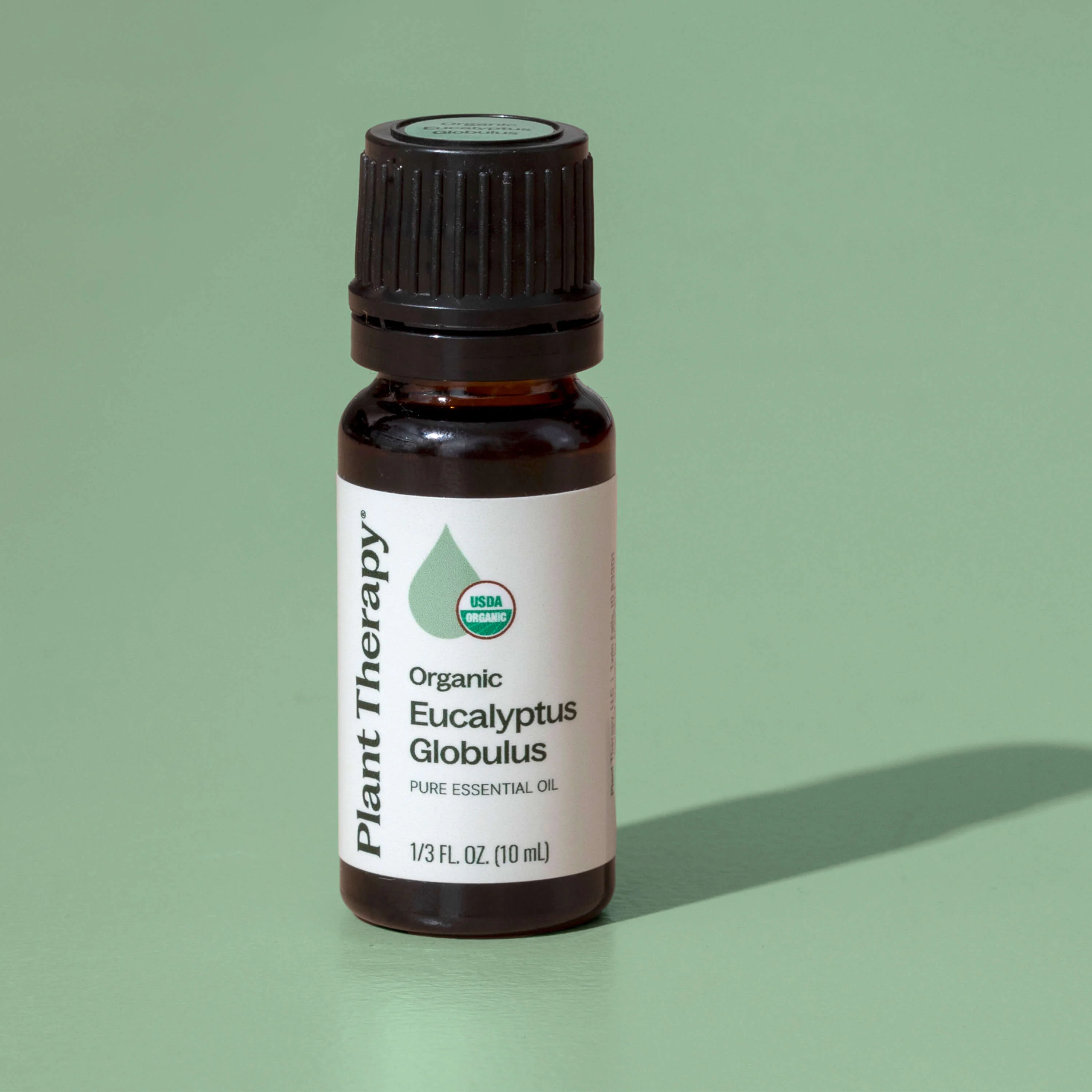 Organic Eucalyptus Globulus Essential Oil - Image 8