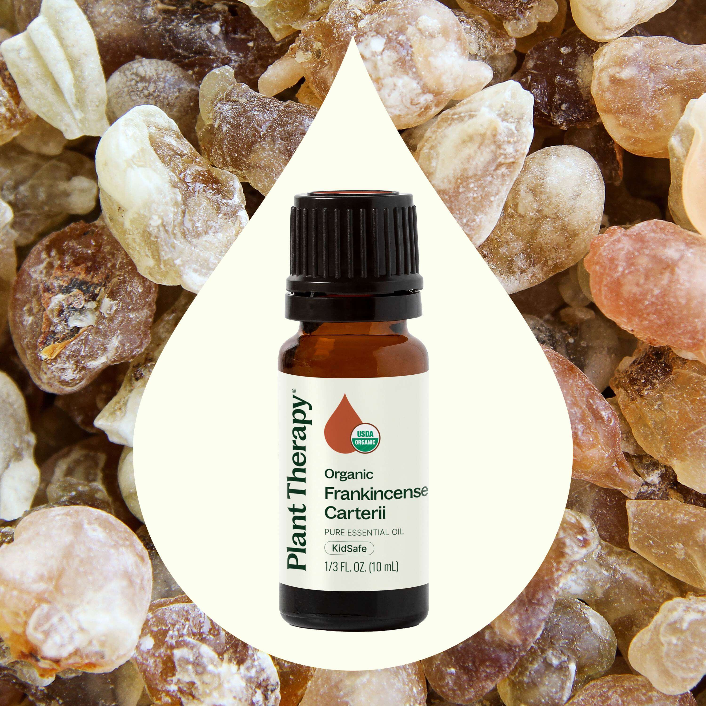 Organic Frankincense Carterii Essential Oil - Image 2