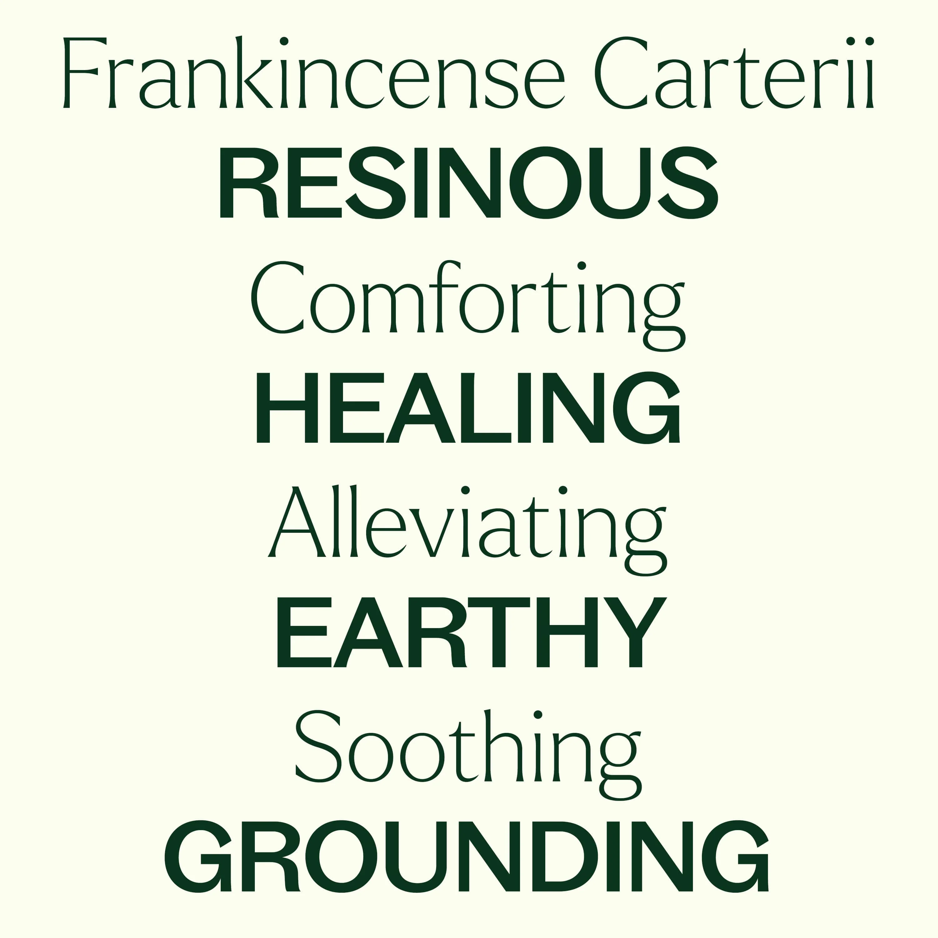 Organic Frankincense Carterii Essential Oil - Image 4