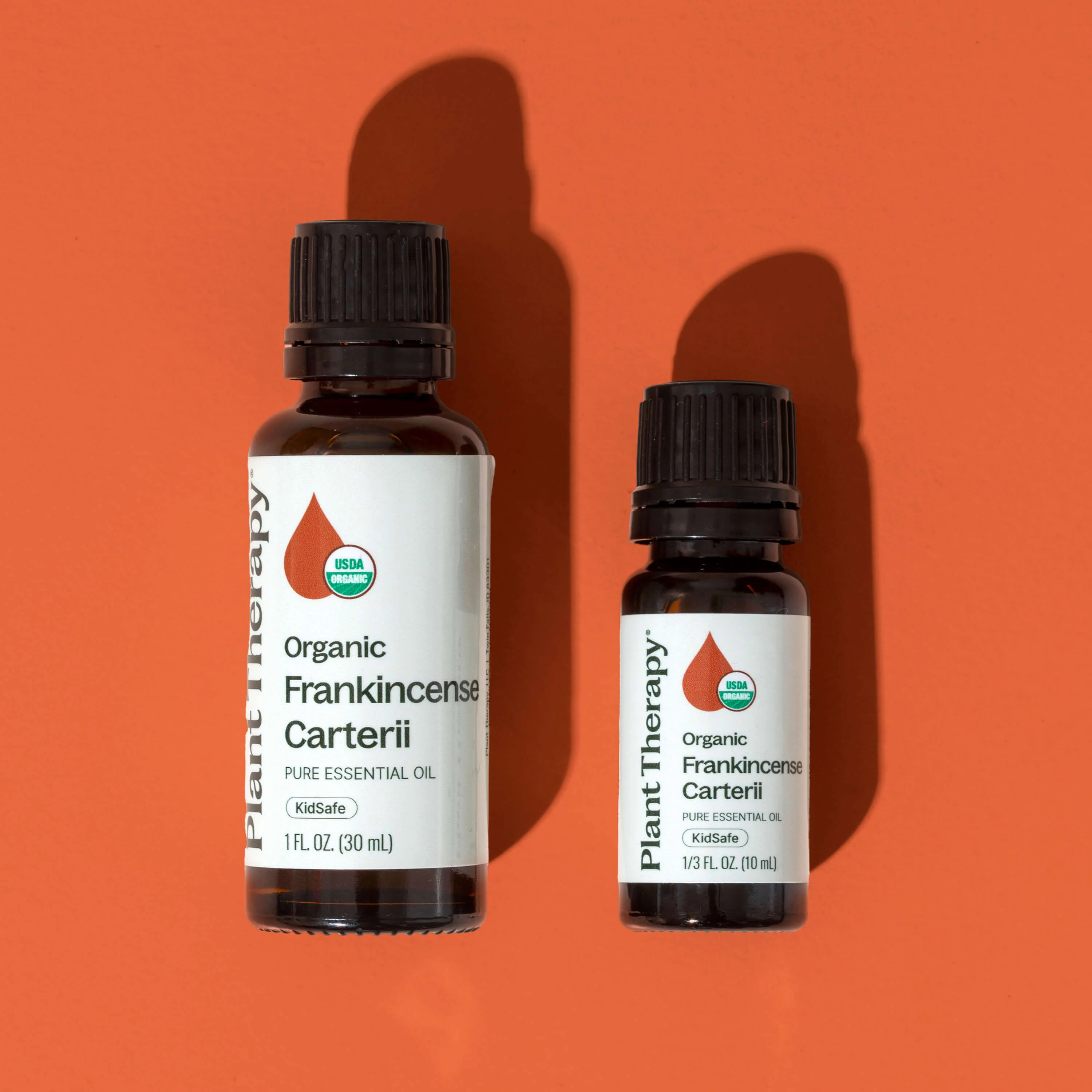Organic Frankincense Carterii Essential Oil - Image 8