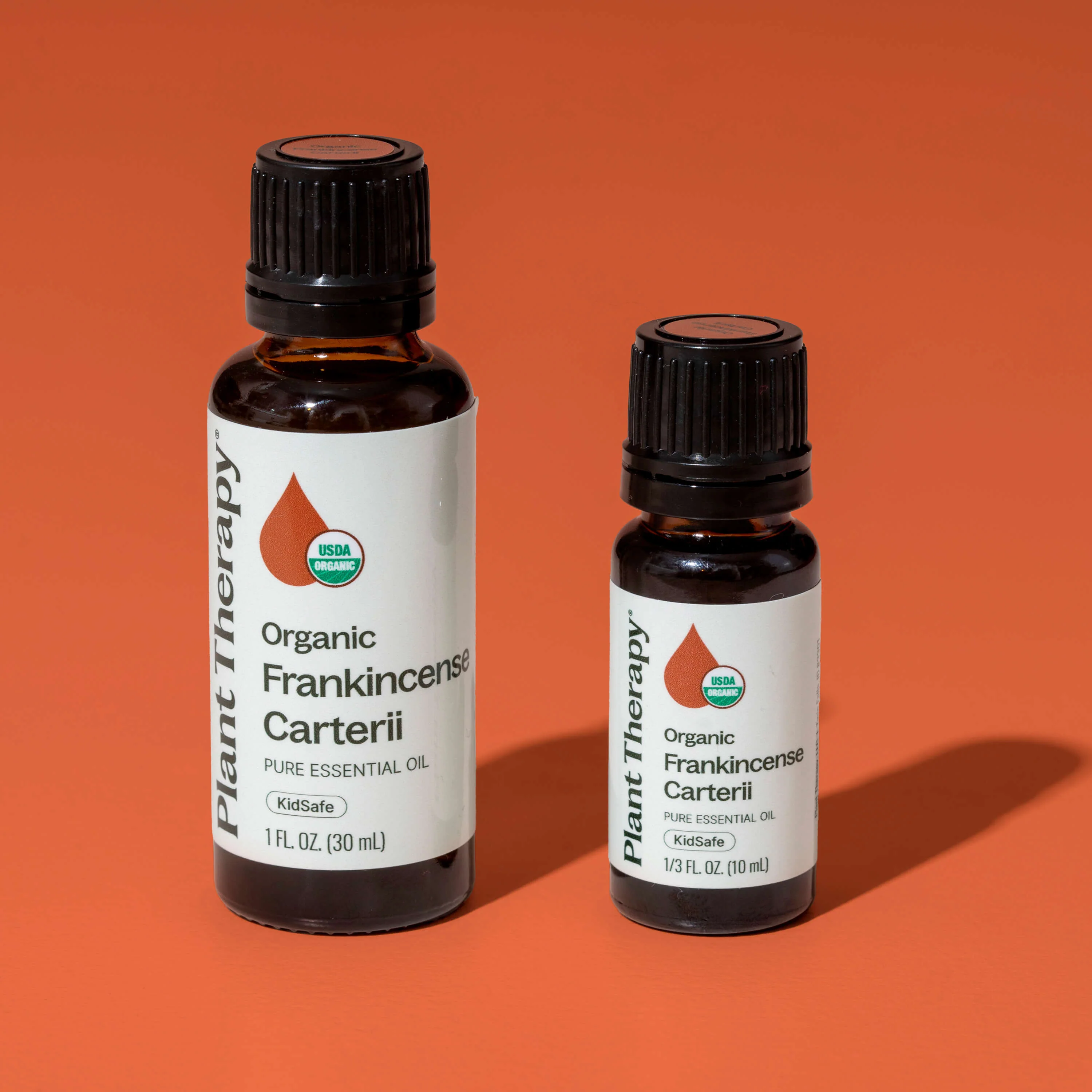 Organic Frankincense Carterii Essential Oil - Image 9