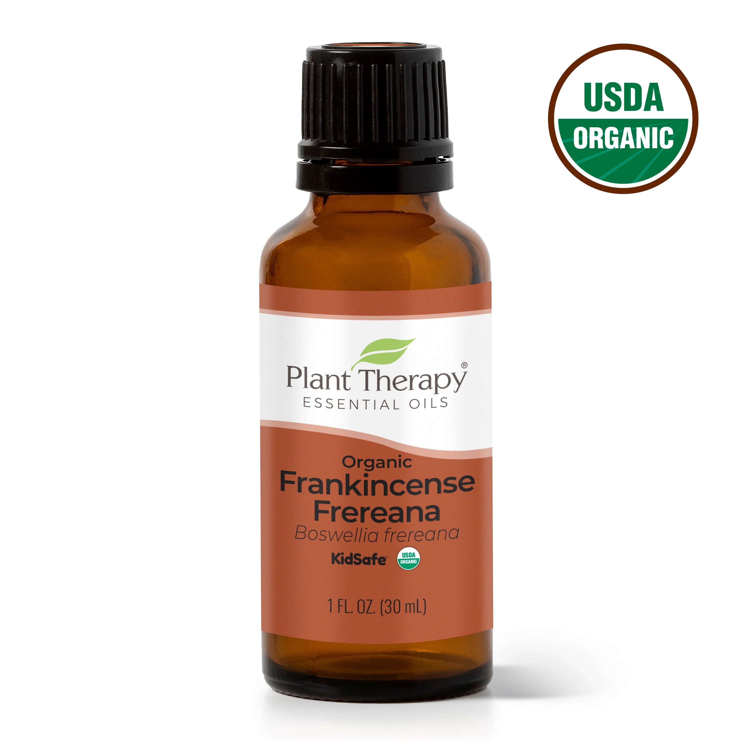 Organic Frankincense Frereana Essential Oil - Image 13