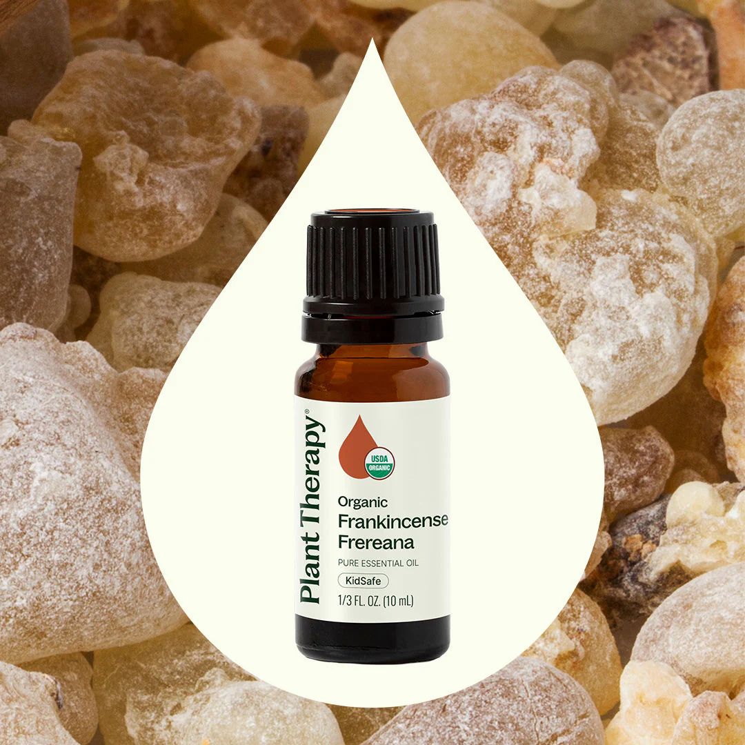 Organic Frankincense Frereana Essential Oil - Image 2