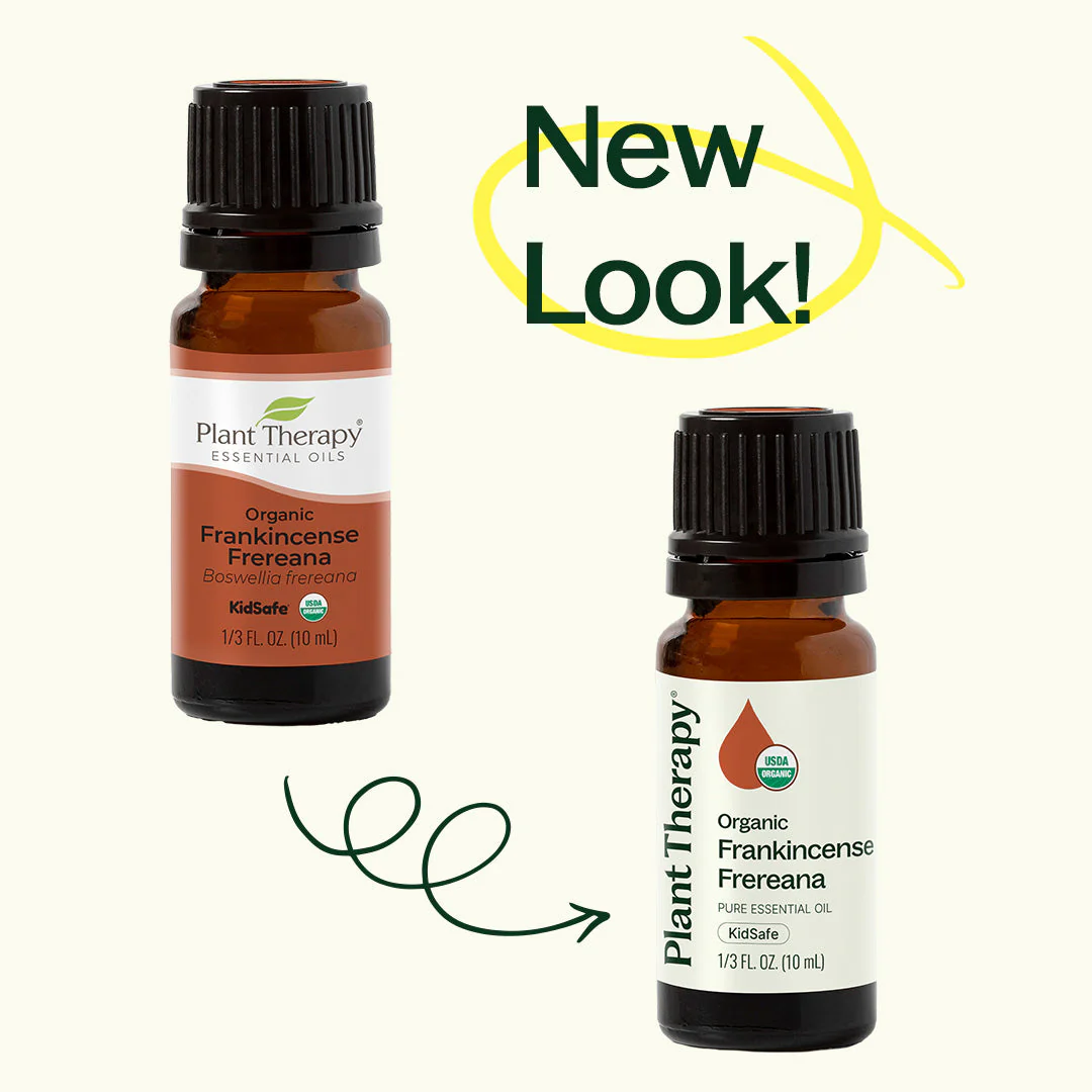 Organic Frankincense Frereana Essential Oil - Image 4