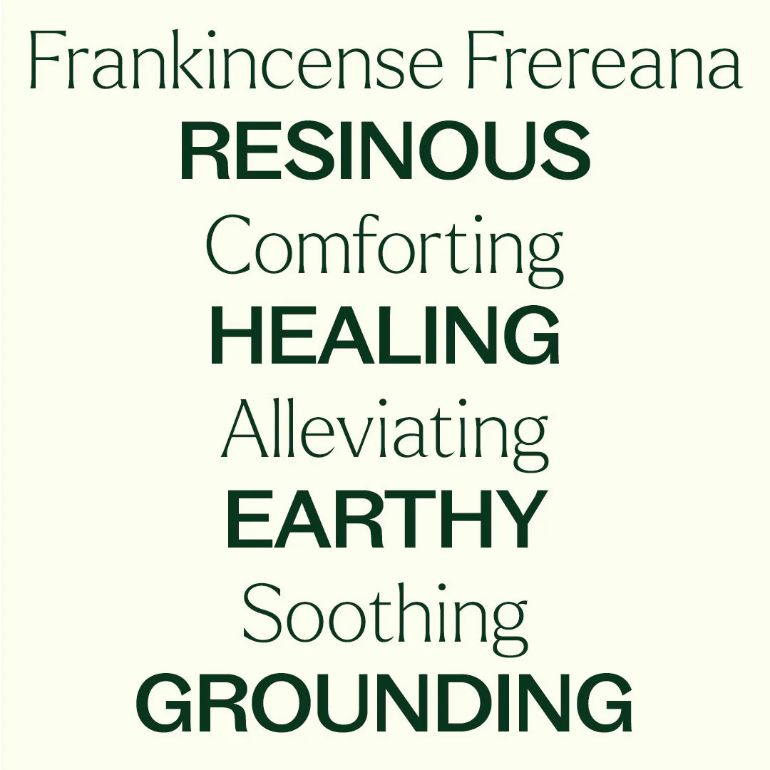 Organic Frankincense Frereana Essential Oil - Image 7