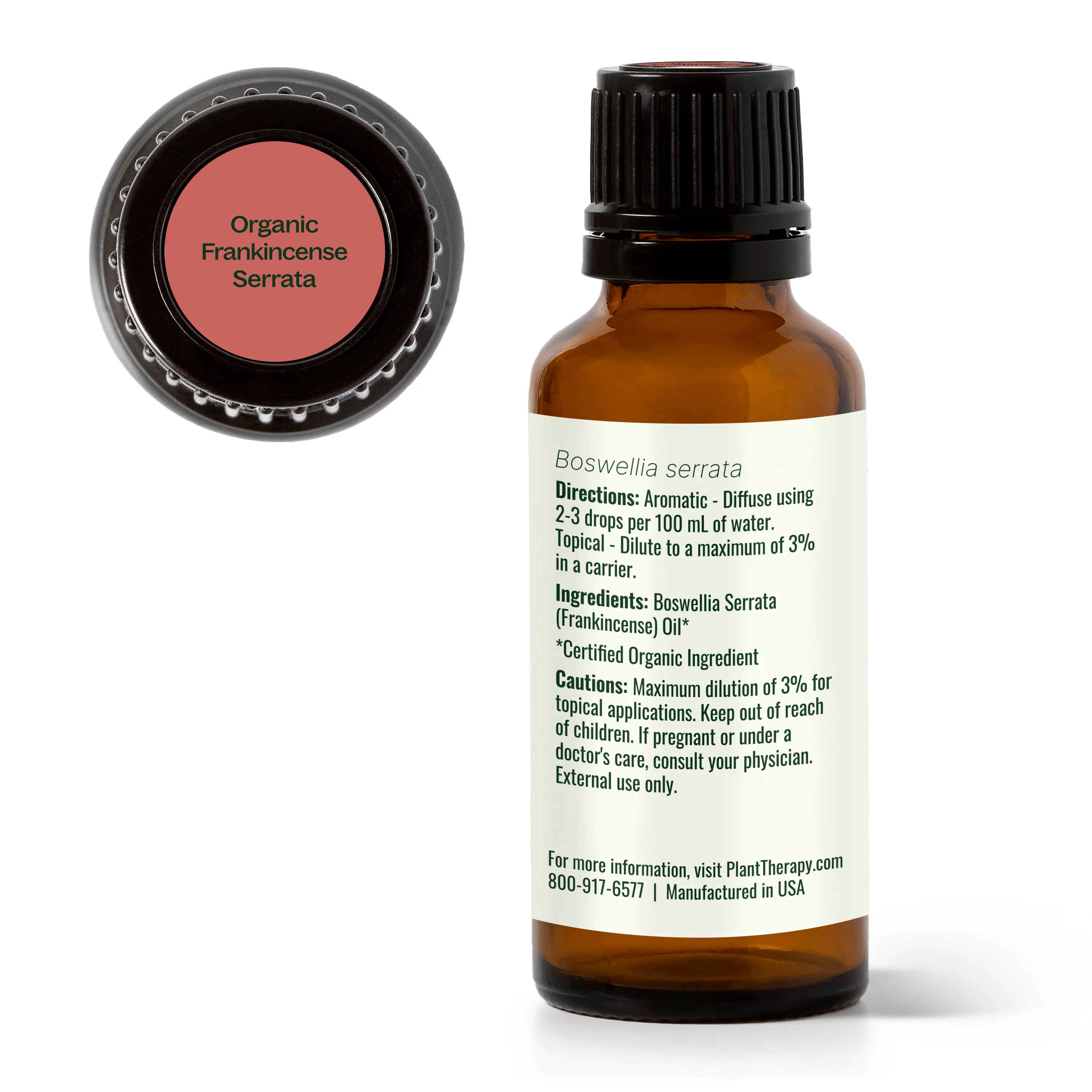 Organic Frankincense Serrata Essential Oil - Image 10