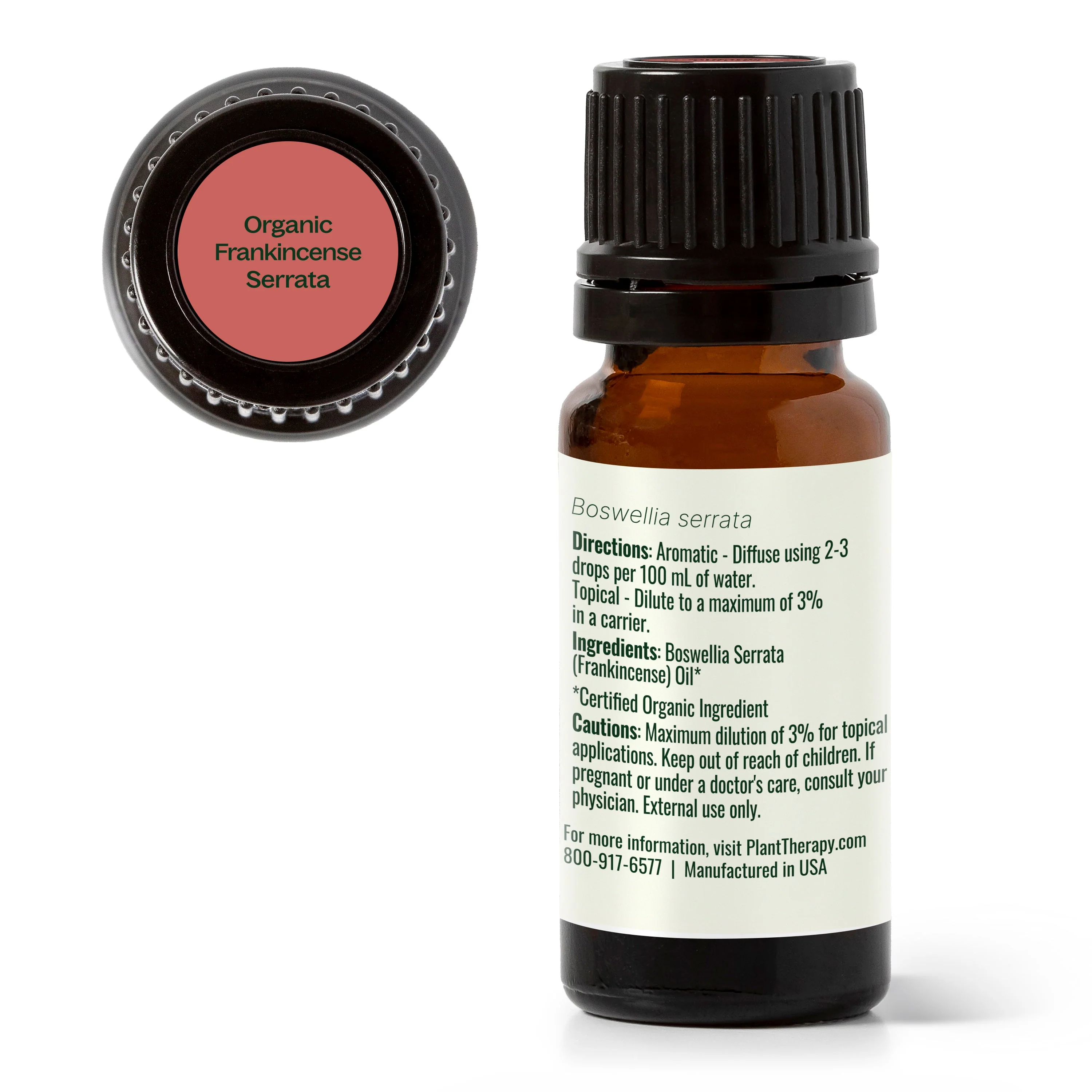 Organic Frankincense Serrata Essential Oil - Image 11