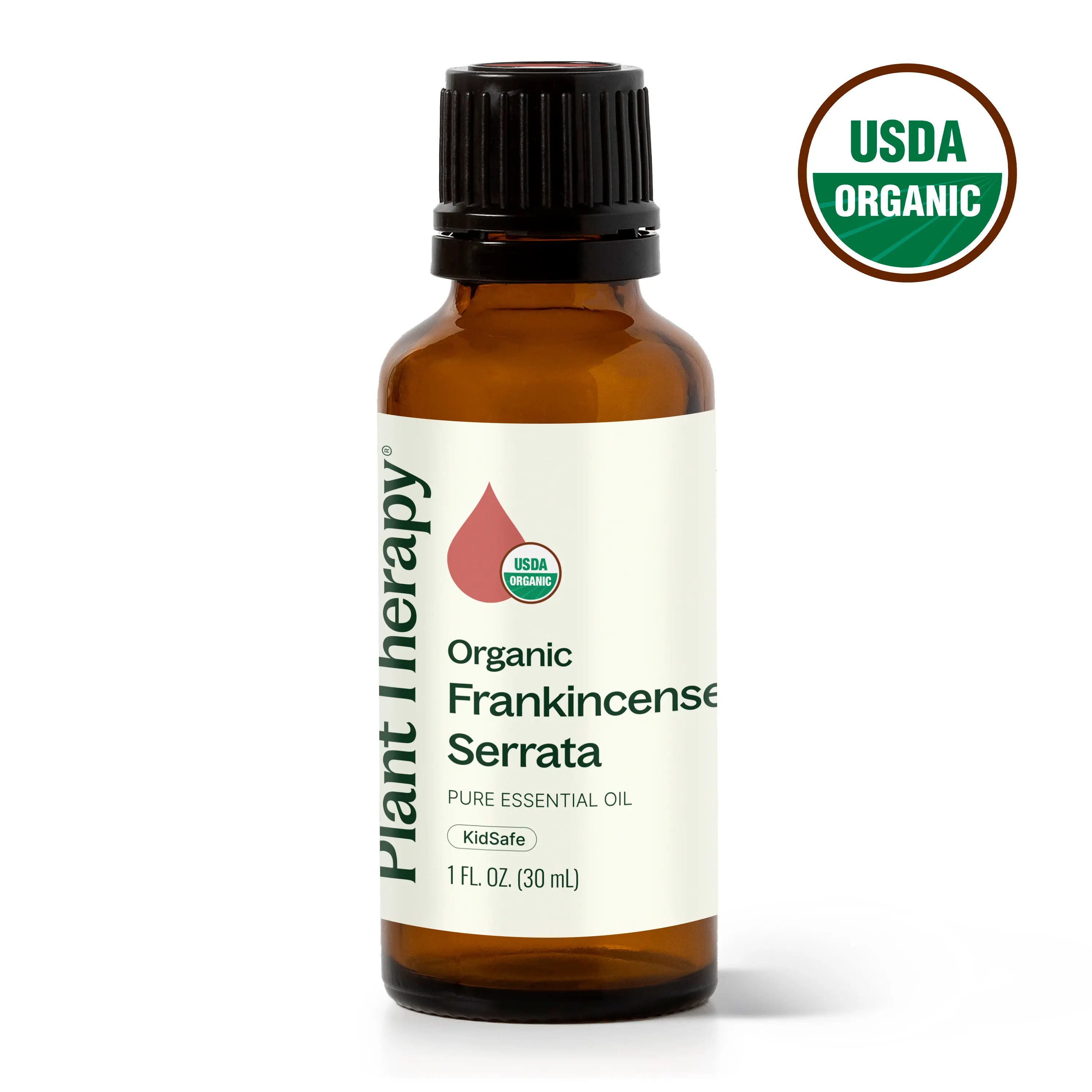 Organic Frankincense Serrata Essential Oil - Image 8
