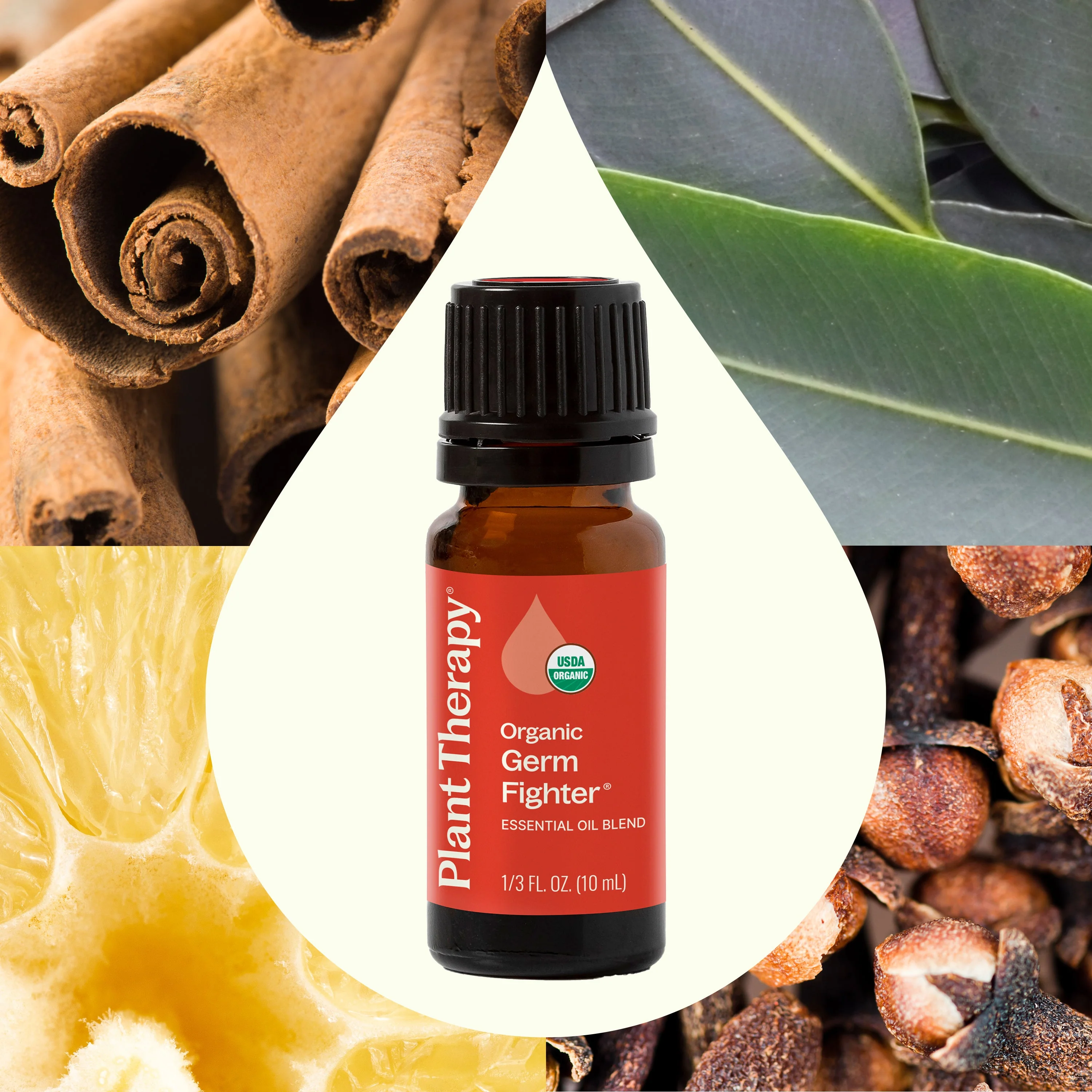 Organic Germ Fighter Essential Oil - Image 3
