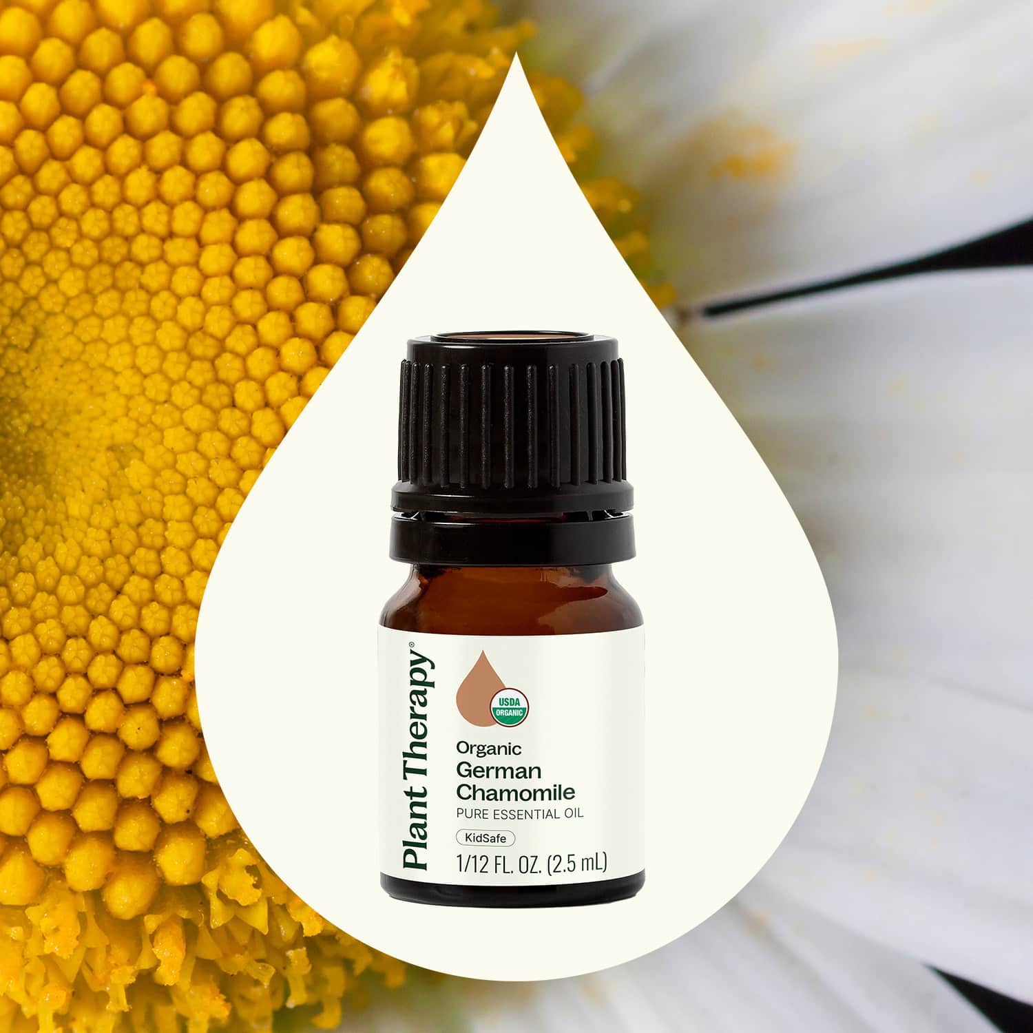 Organic German Chamomile Essential Oil - Image 2