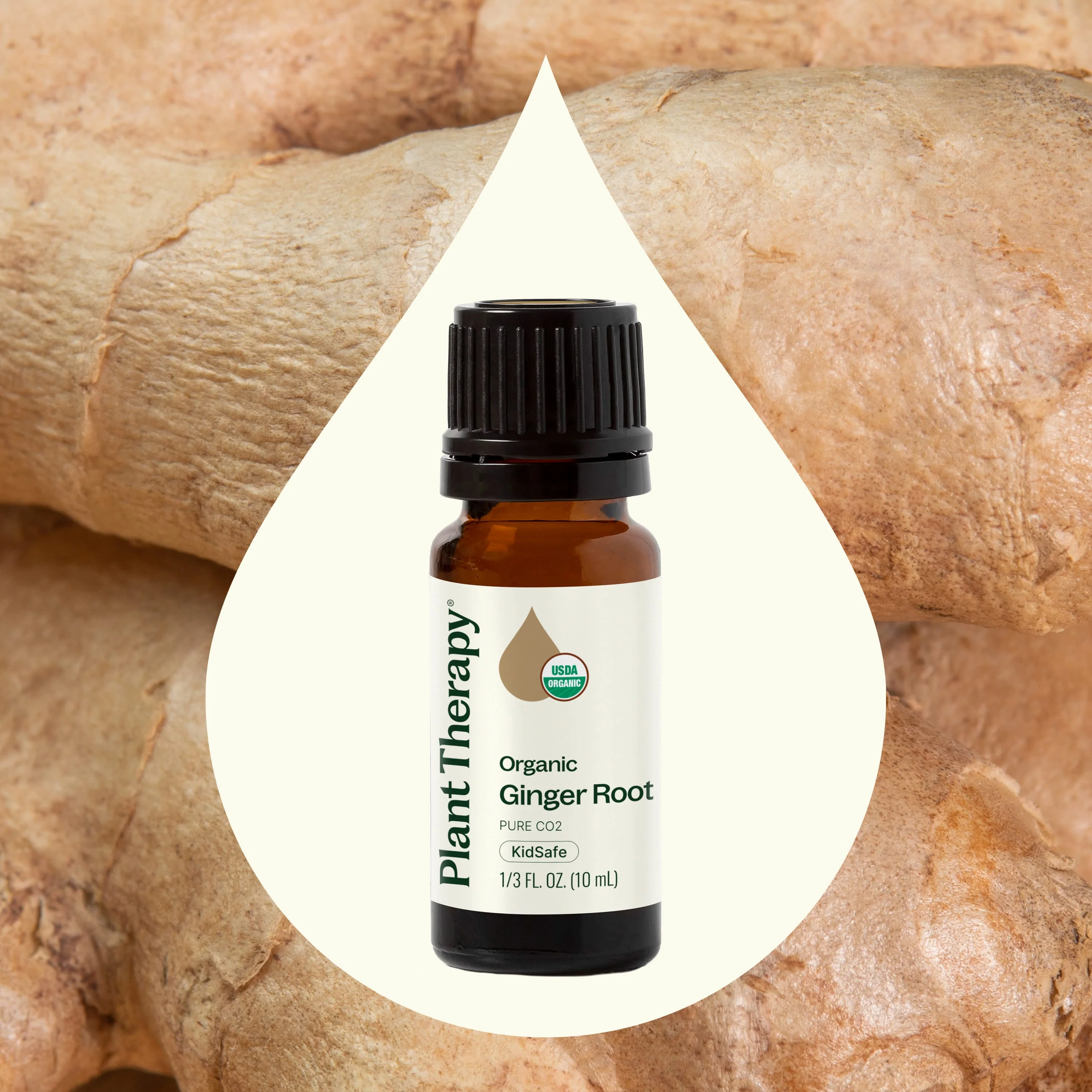 Organic Ginger Root CO2 - Image 2