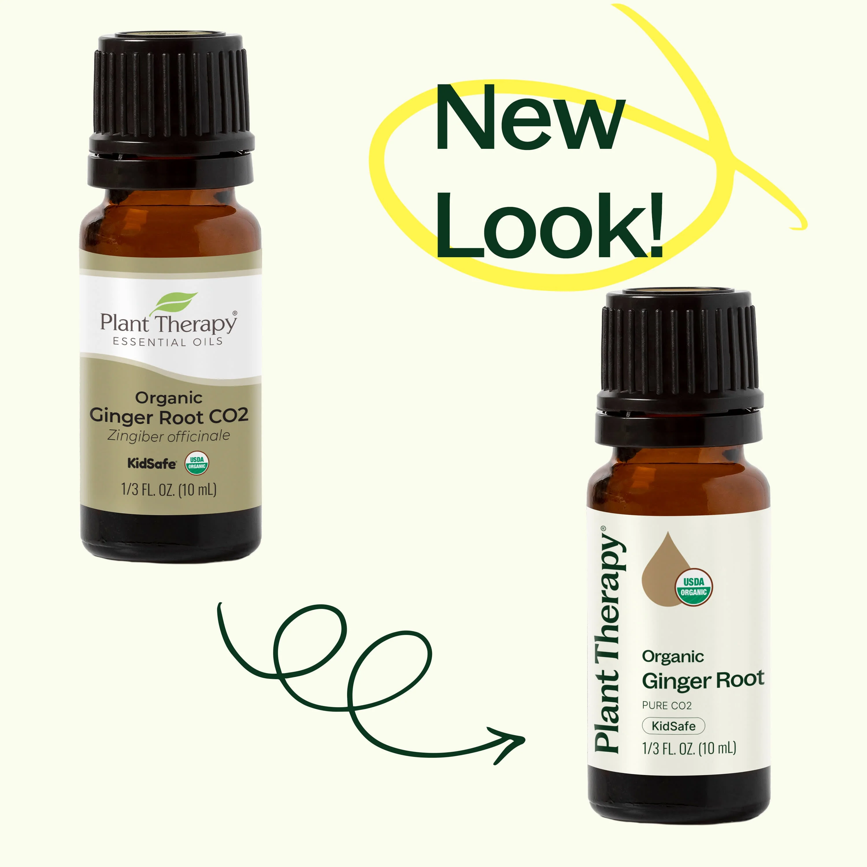 Organic Ginger Root CO2 - Image 3