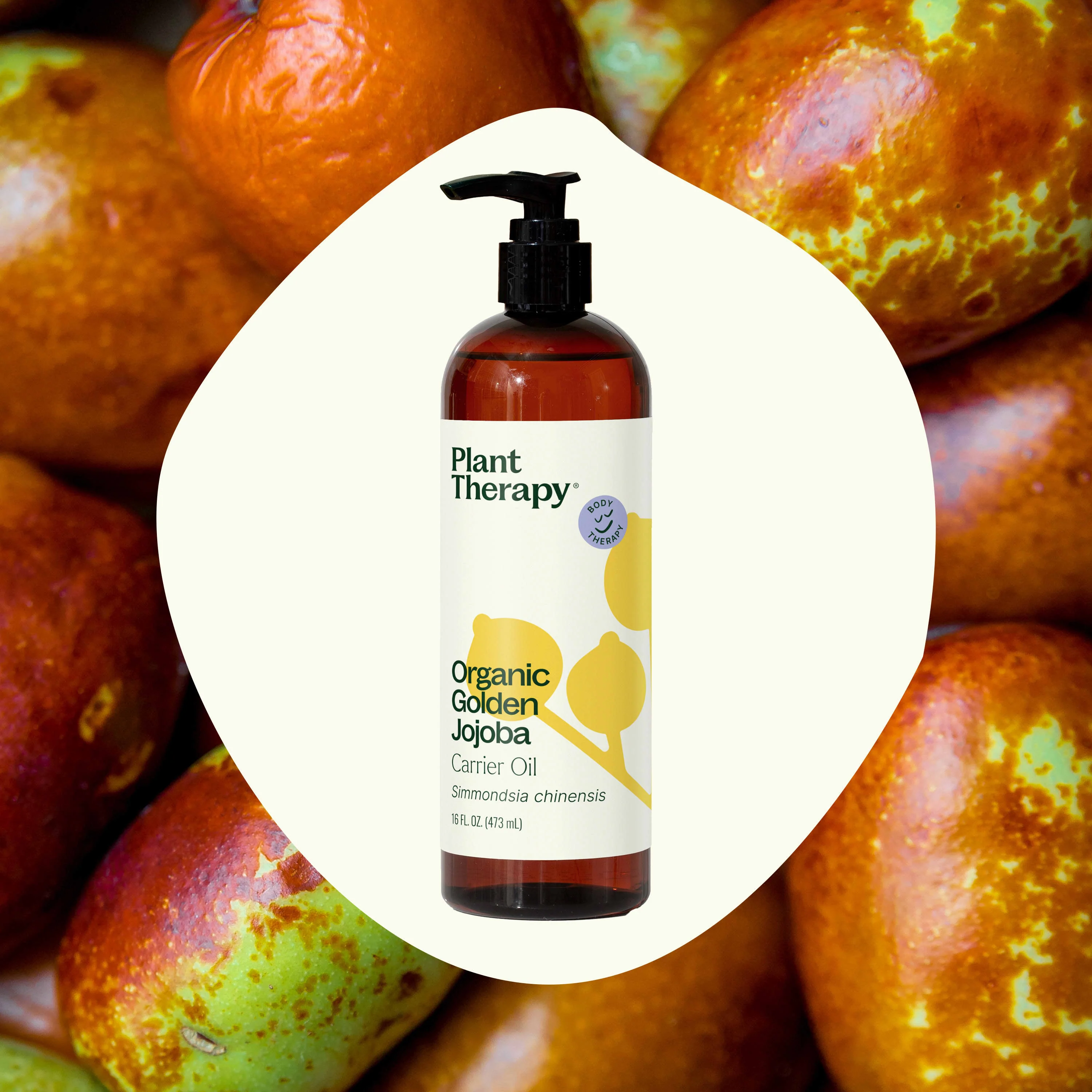 Organic Golden Jojoba Carrier Oil - Image 2