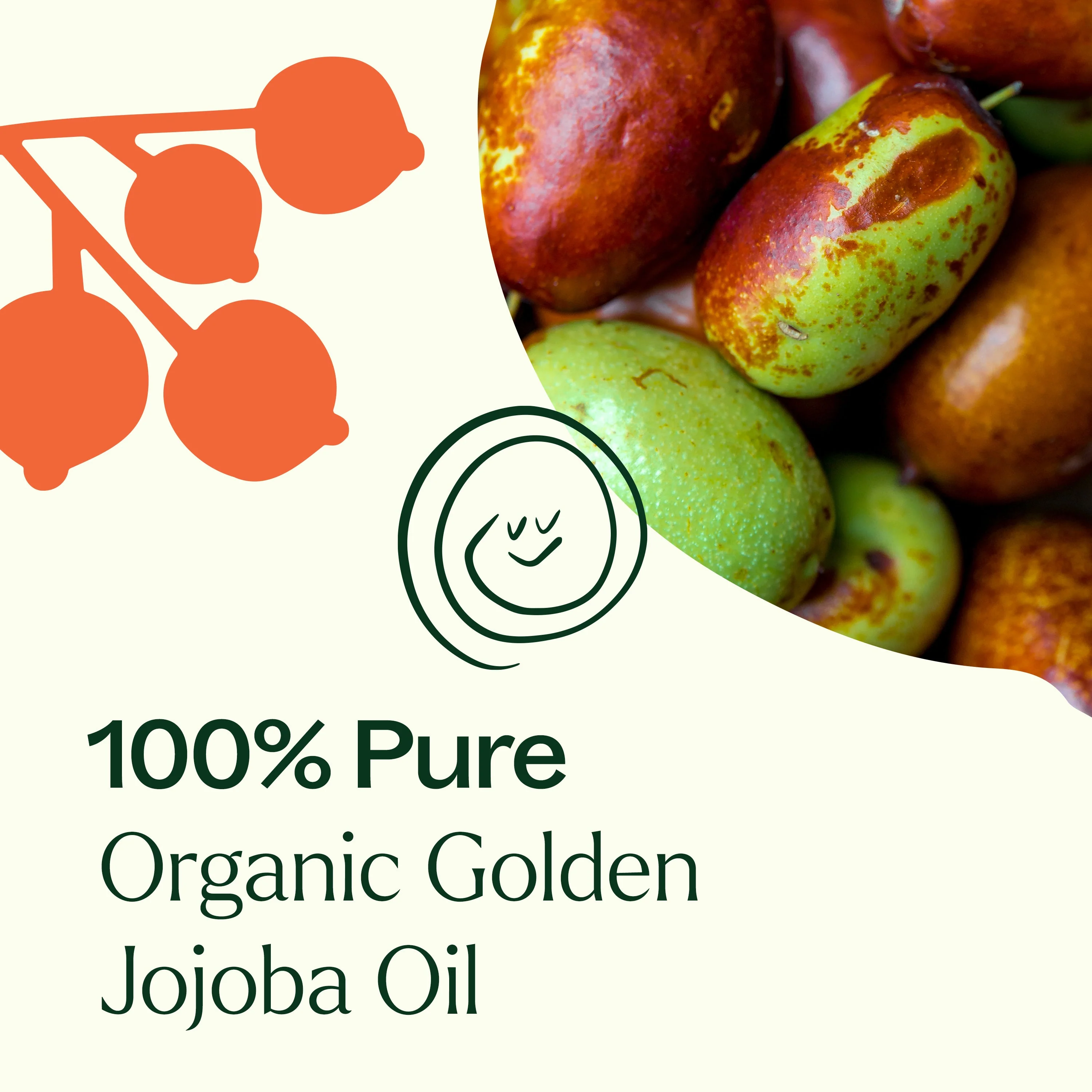Organic Golden Jojoba Carrier Oil - Image 7
