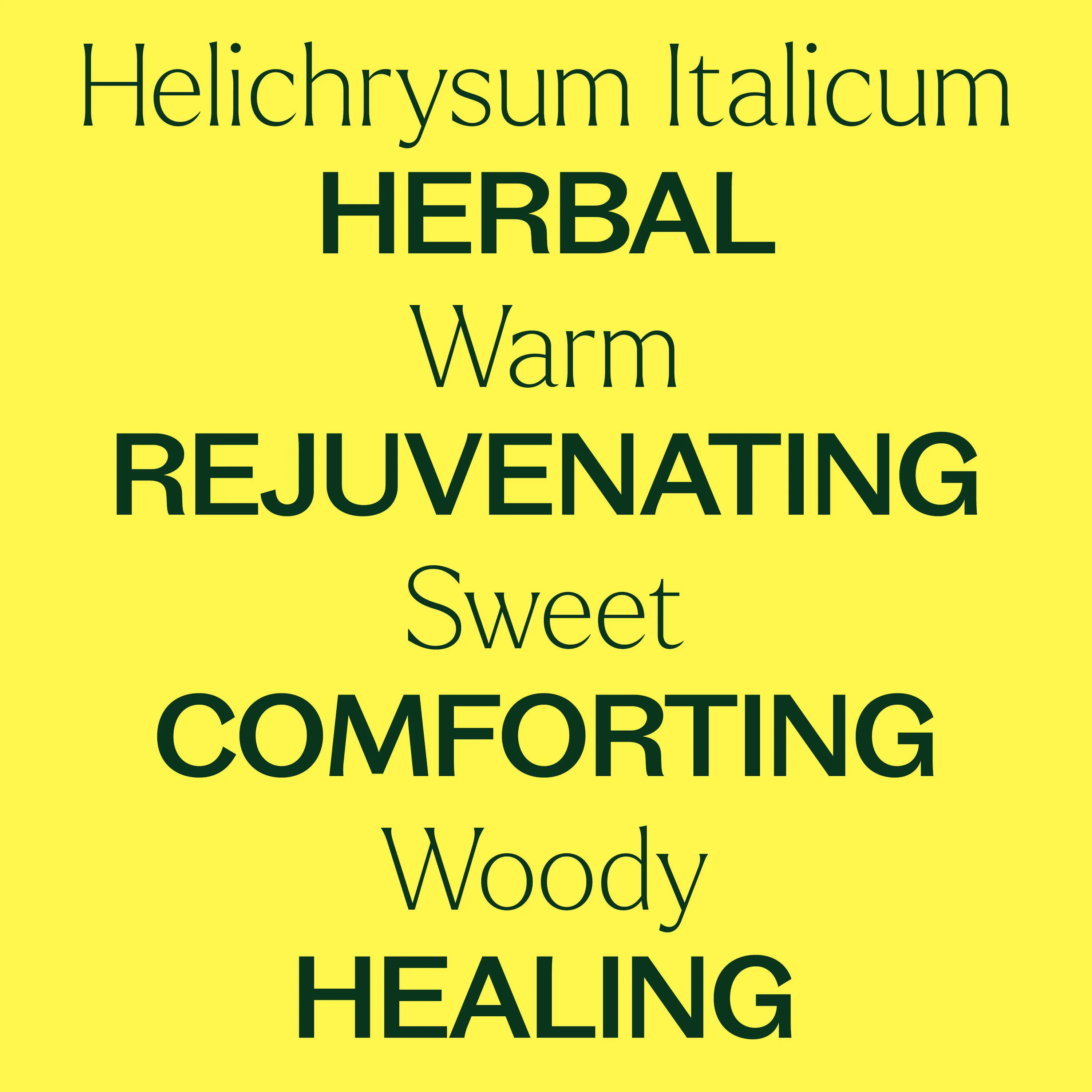 Organic Helichrysum Italicum Essential Oil - Image 5