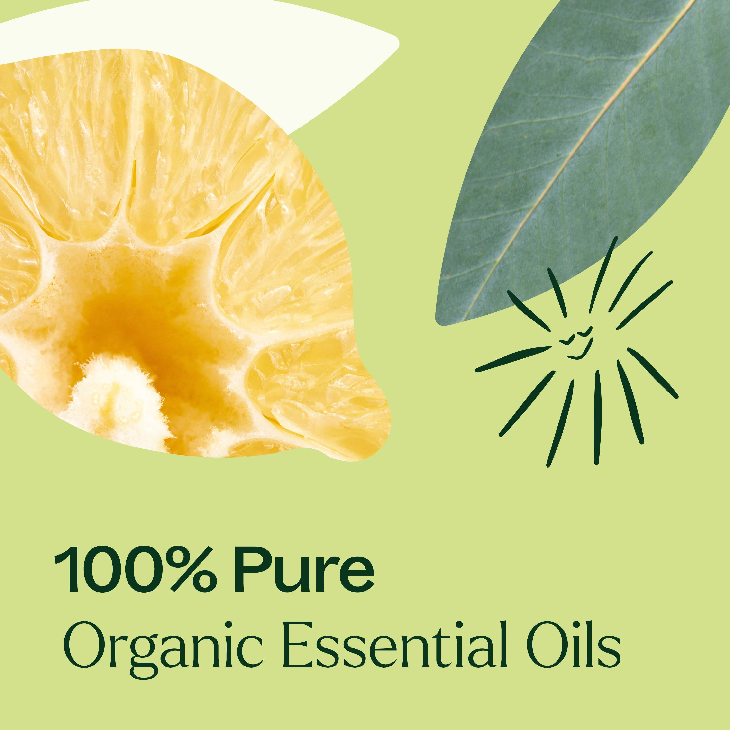 Organic Immune Aid Essential Oil Blend - Image 7
