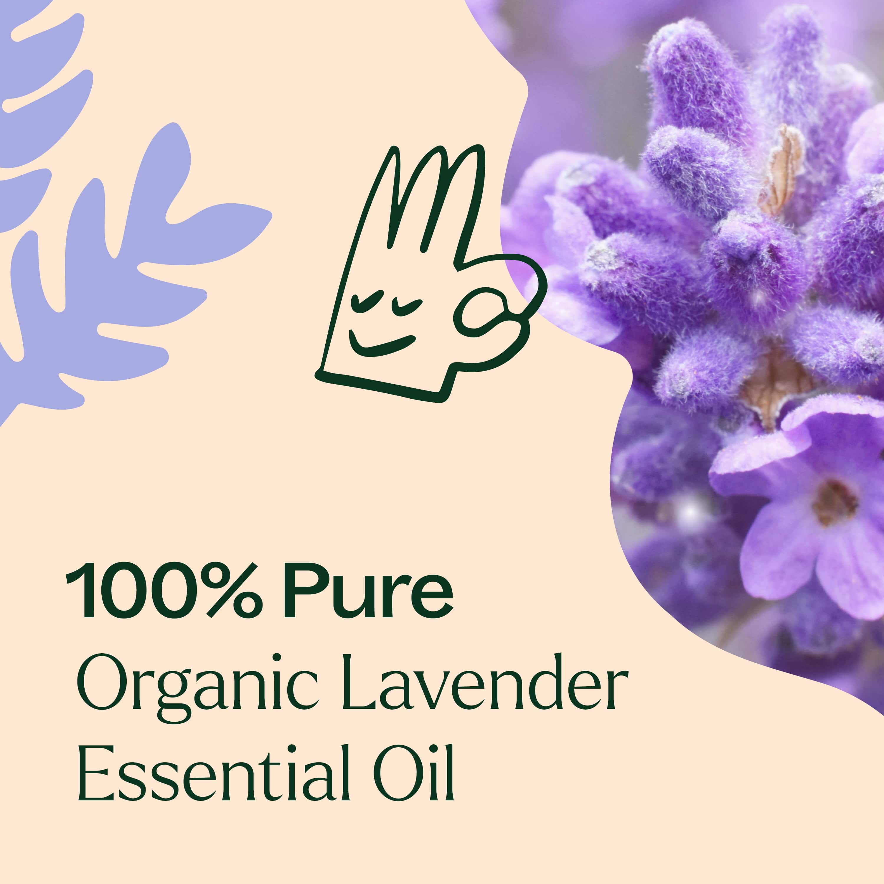 Organic Lavender Essential Oil - Image 5
