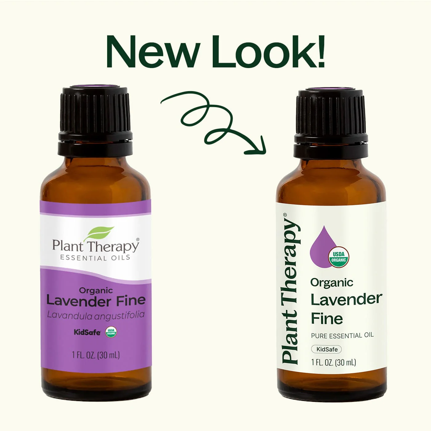 Organic Lavender Fine Essential Oil - Image 5