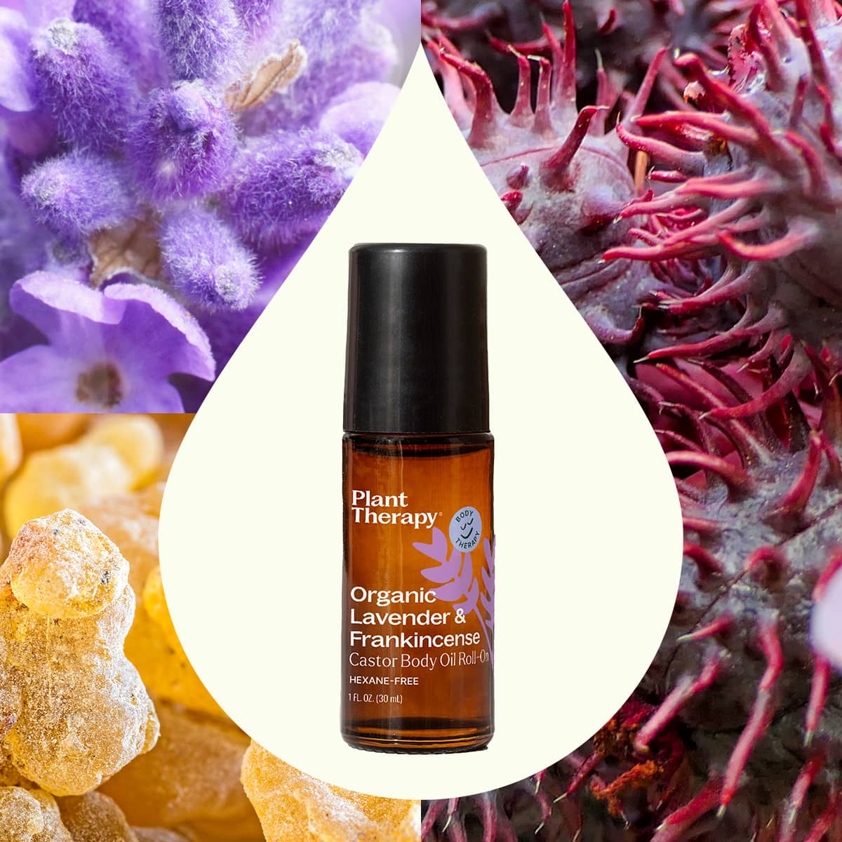 Organic Lavender & Frankincense Castor Body Oil Roll-On 30 mL - Image 2