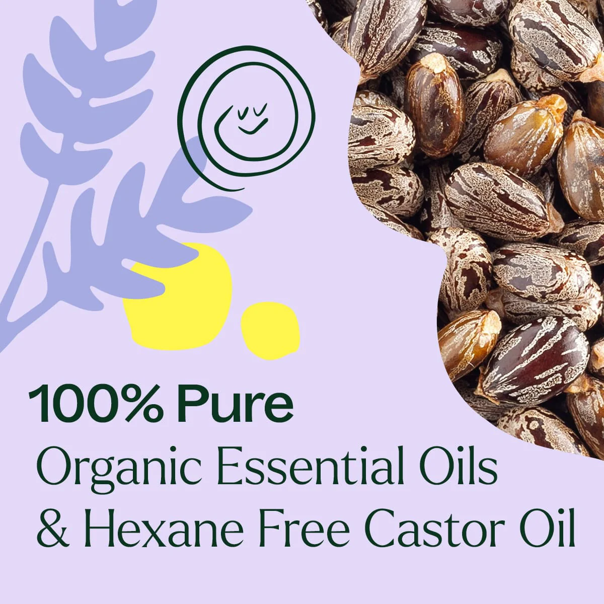 Organic Lavender & Frankincense Castor Body Oil Roll-On 30 mL - Image 3