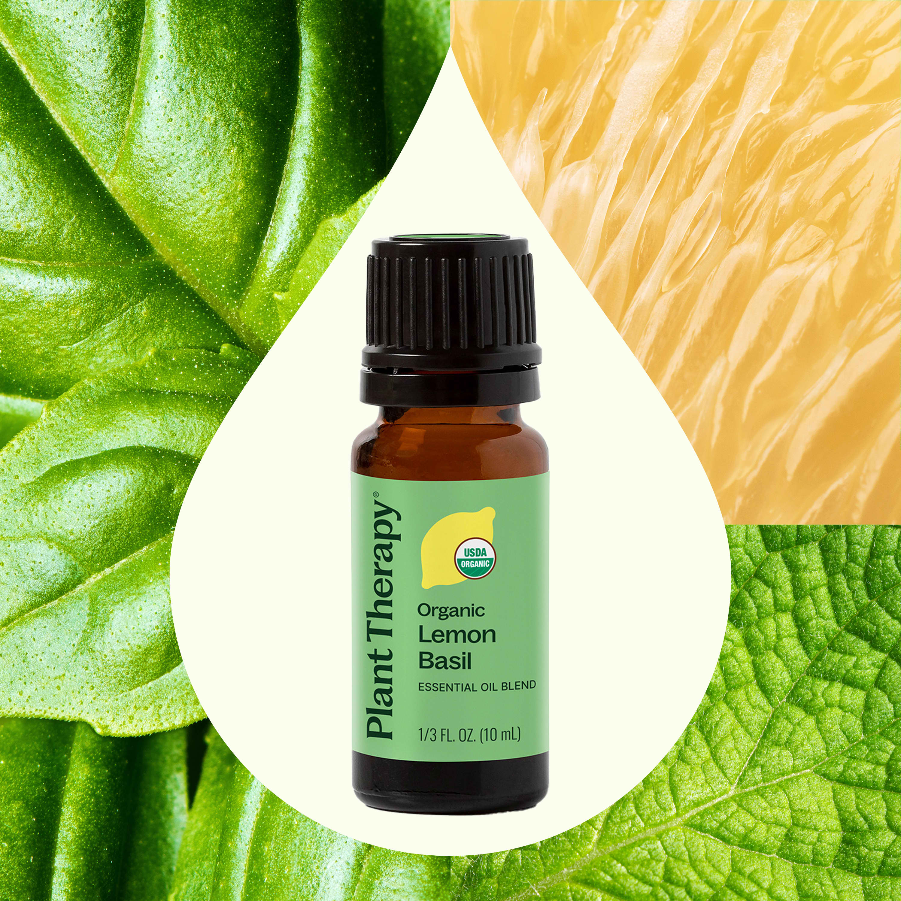 Organic Lemon Basil Essential Oil Blend - Image 2