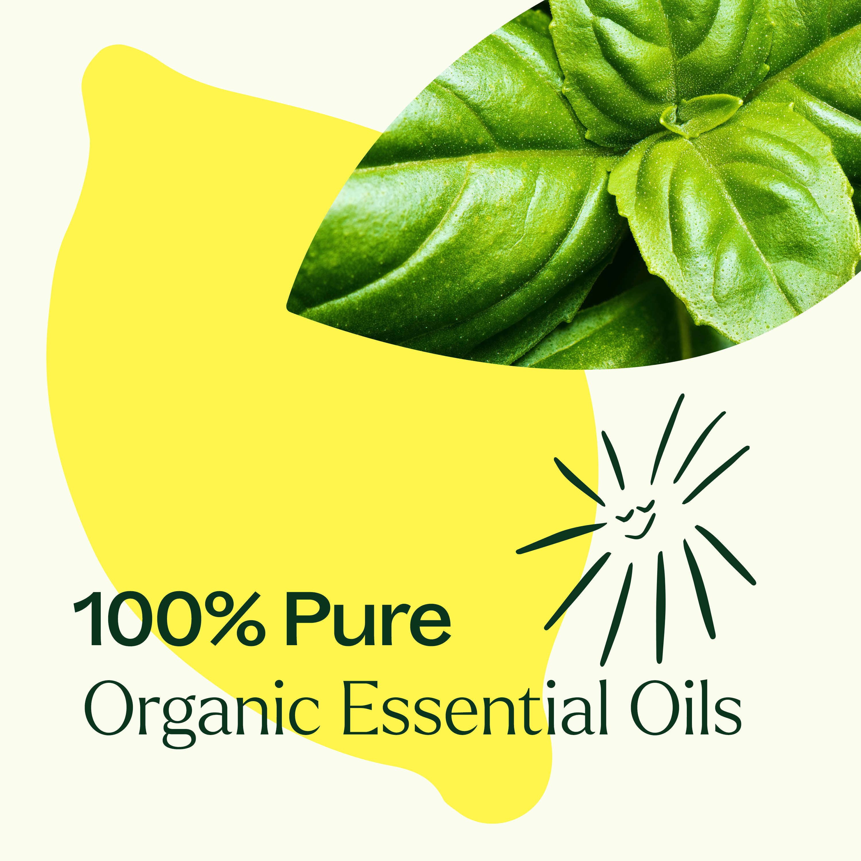 Organic Lemon Basil Essential Oil Blend - Image 4