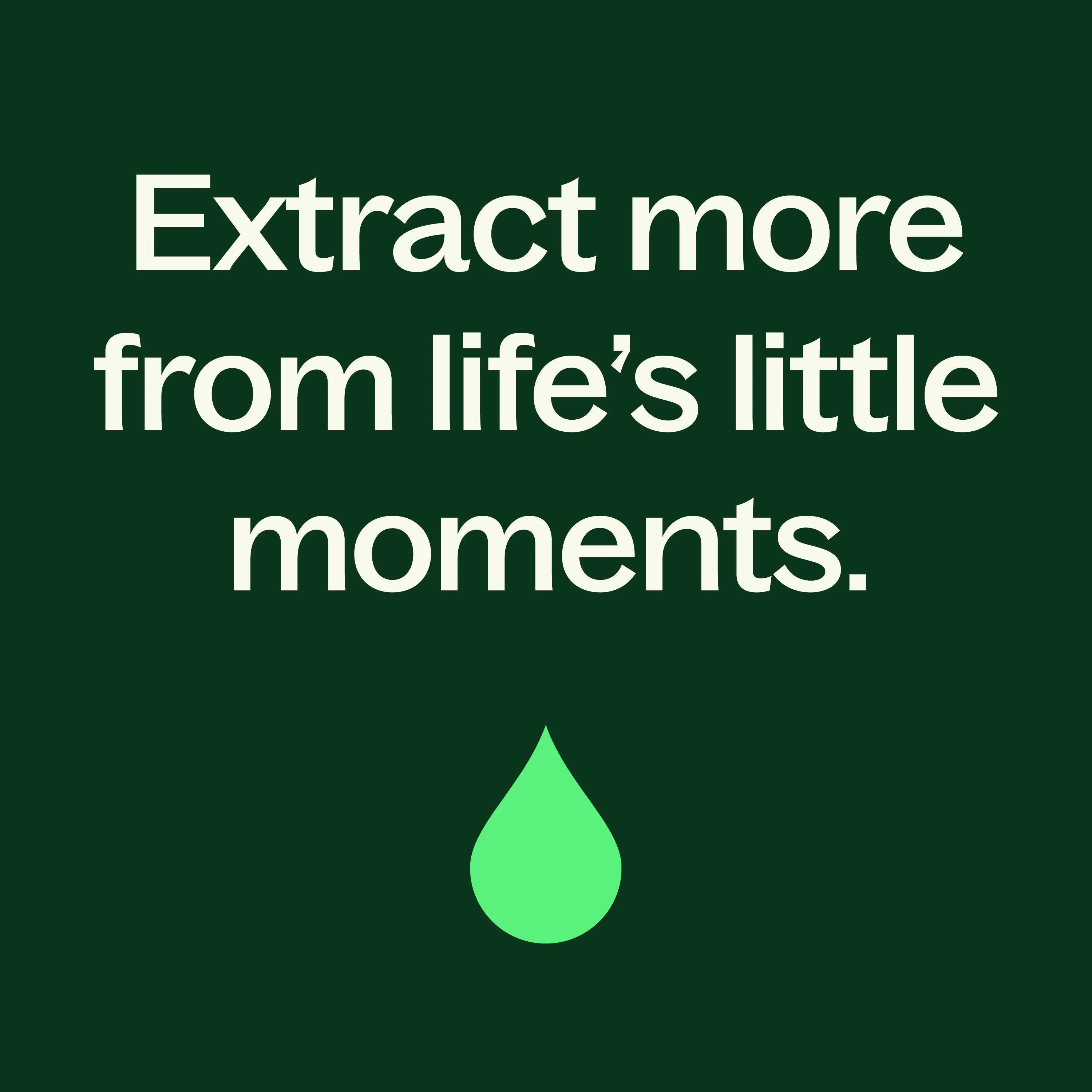 Organic Lemon Basil Essential Oil Blend - Image 9