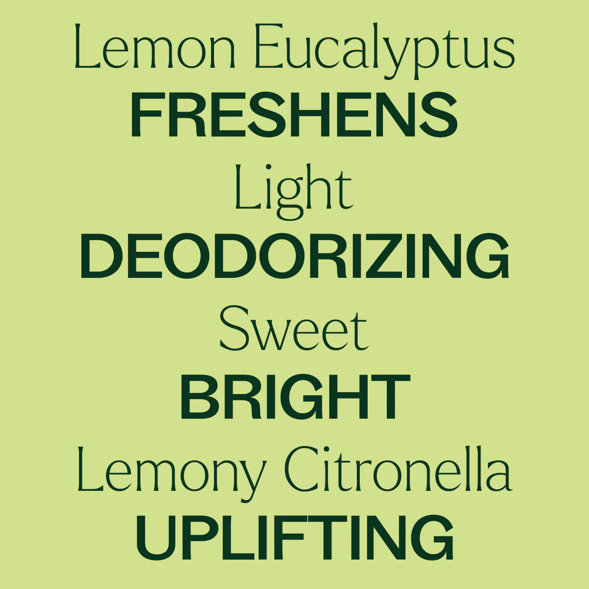 Organic Lemon Eucalyptus Essential Oil - Image 2