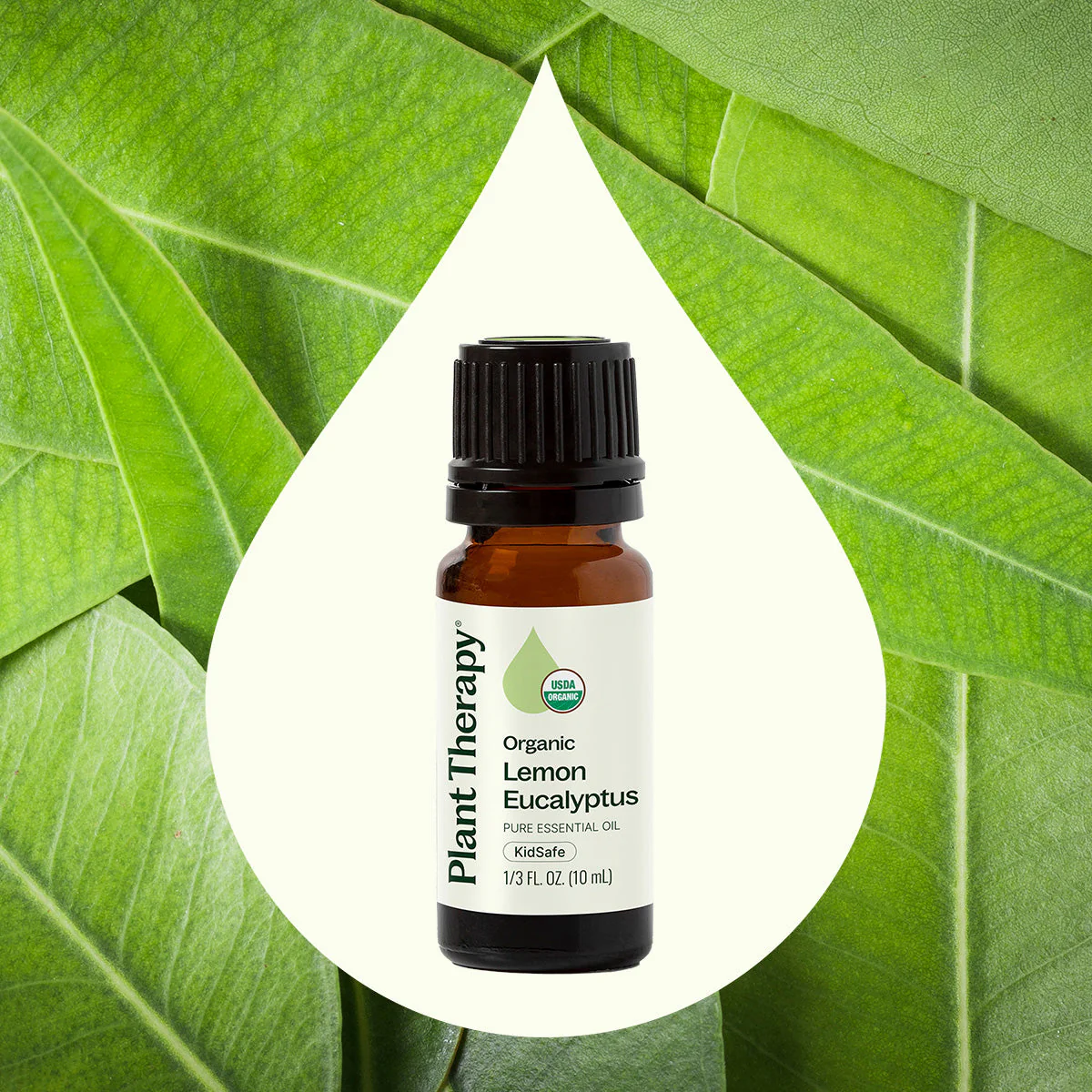 Organic Lemon Eucalyptus Essential Oil - Image 3