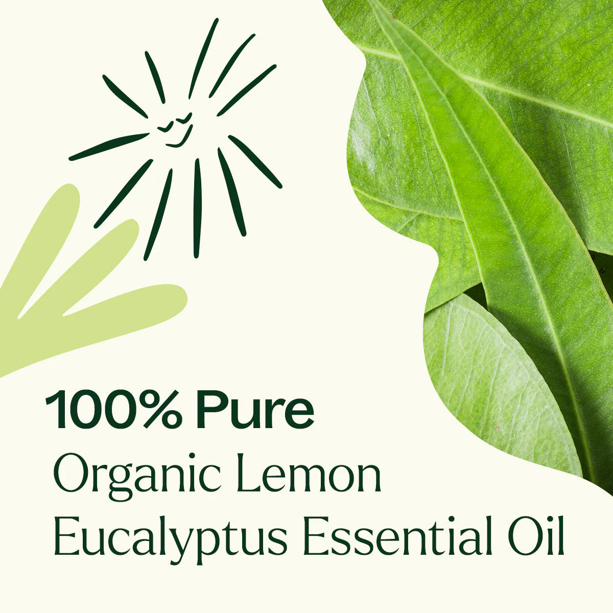Organic Lemon Eucalyptus Essential Oil - Image 4