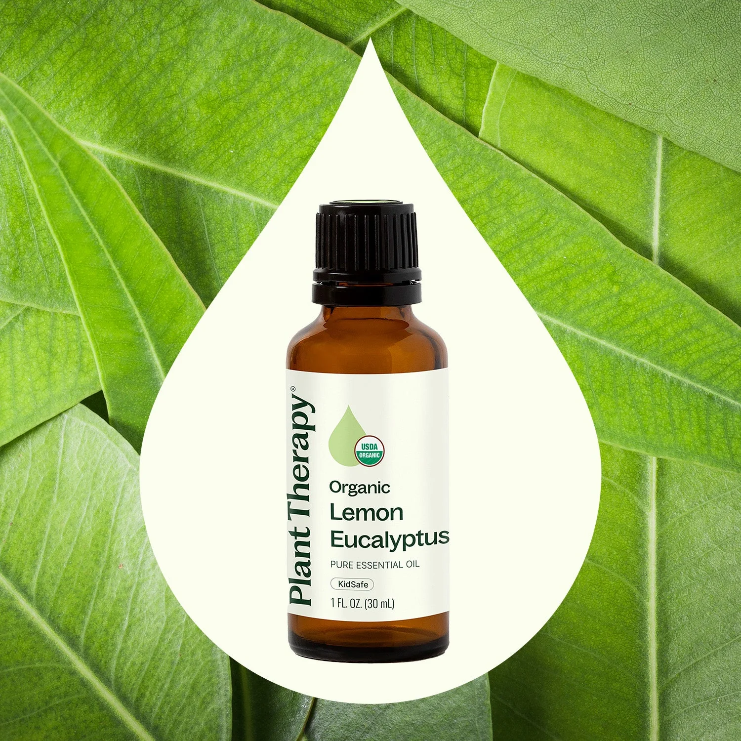 Organic Lemon Eucalyptus Essential Oil - Image 9