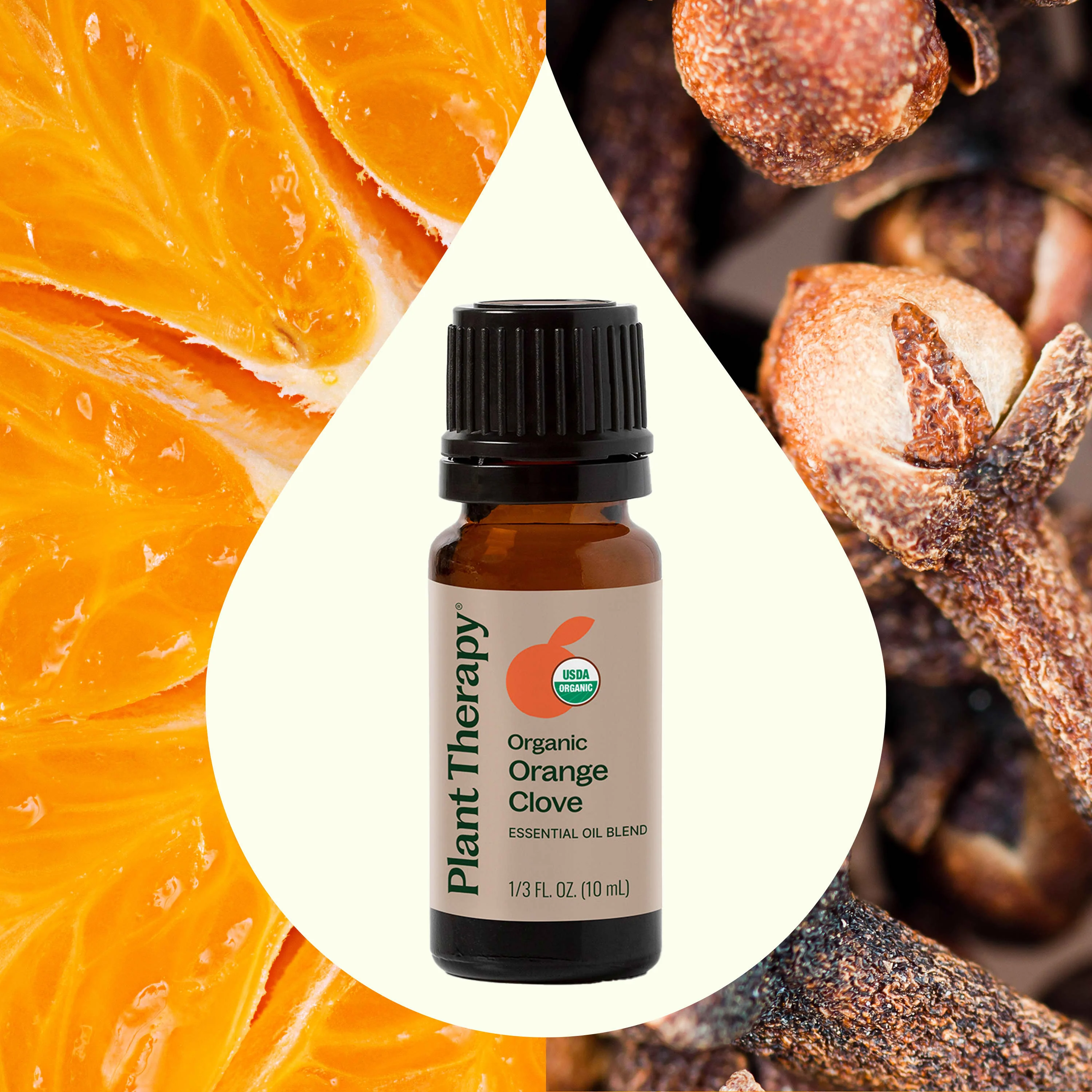 Organic Orange Clove Essential Oil Blend - Image 2