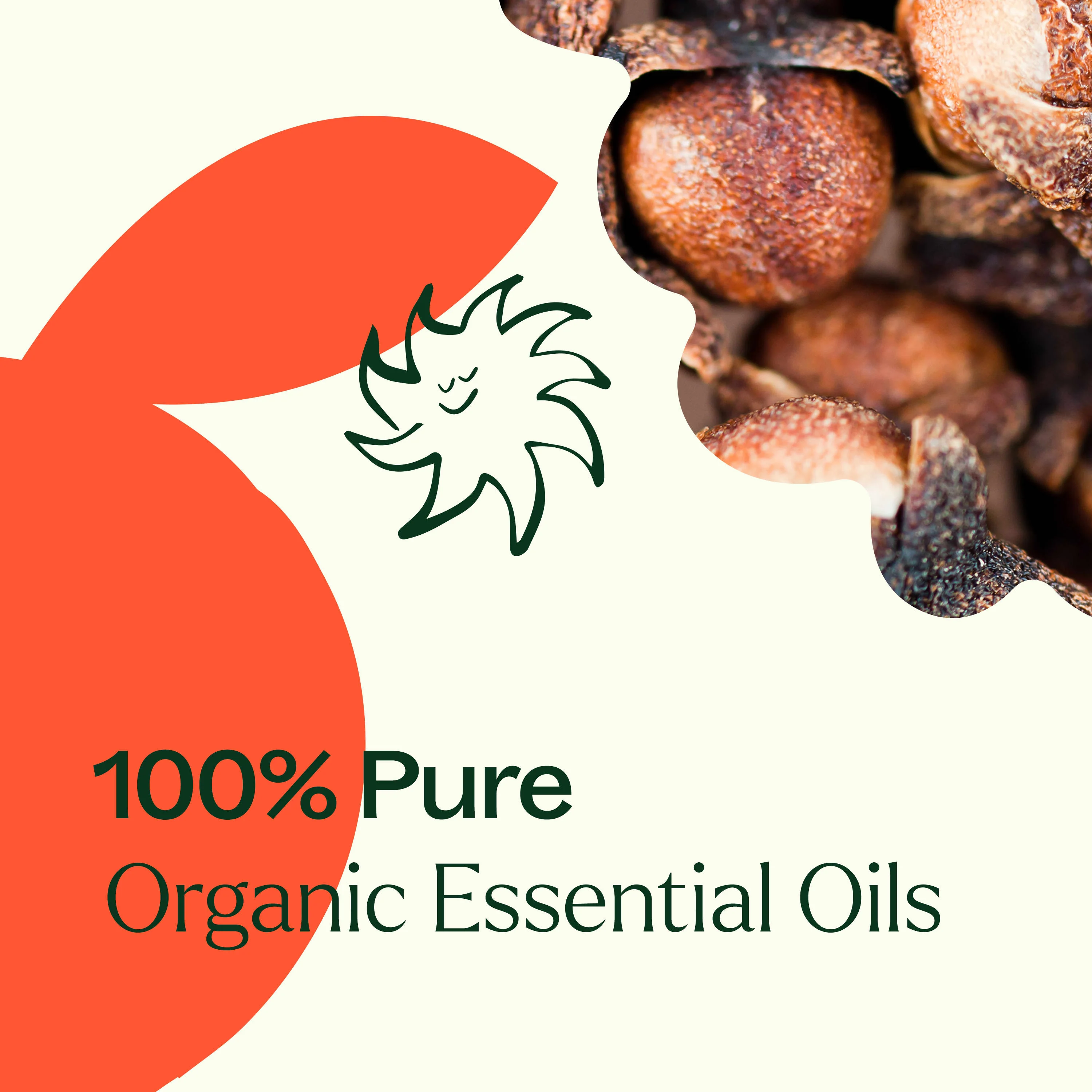 Organic Orange Clove Essential Oil Blend - Image 4
