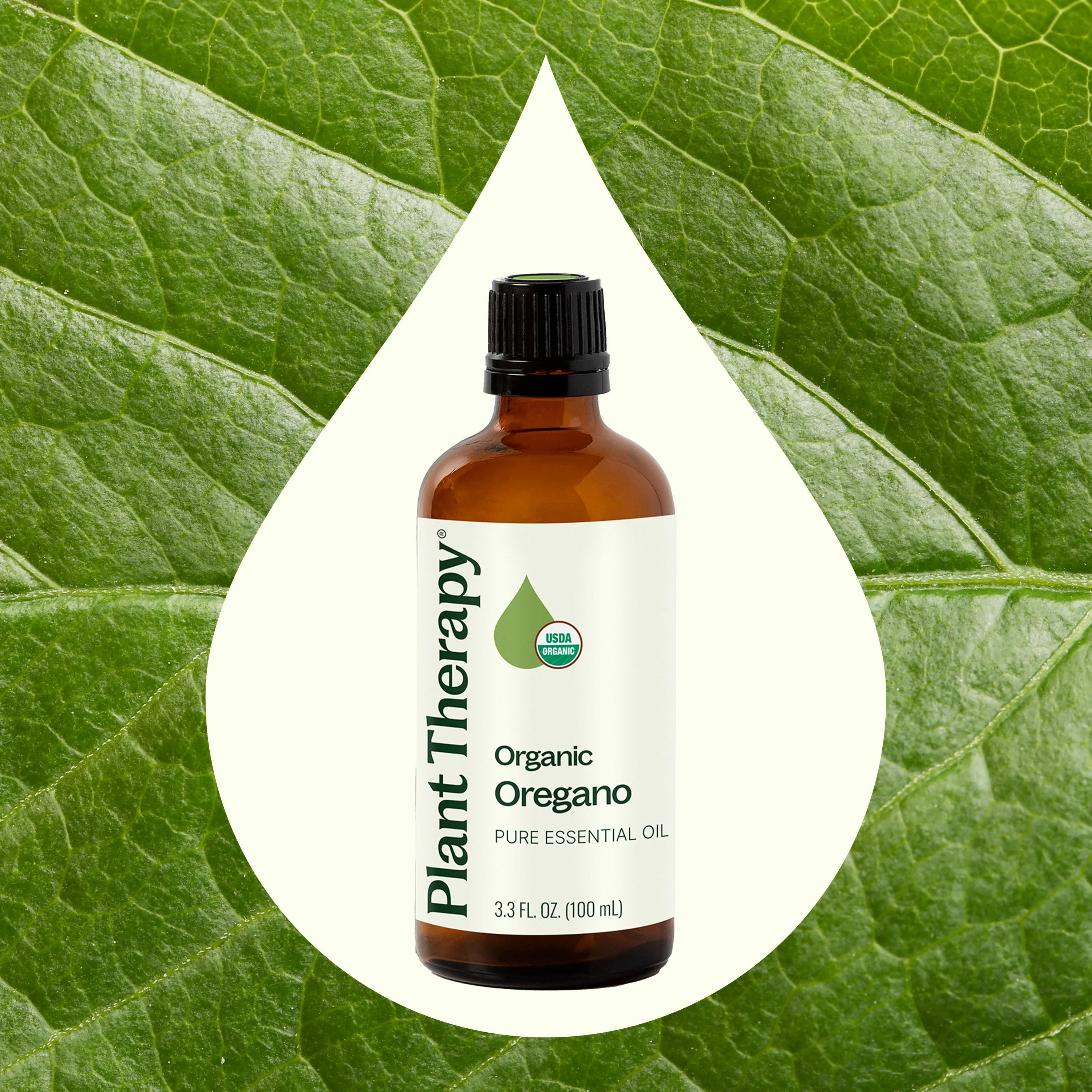 Organic Oregano Essential Oil - Image 11
