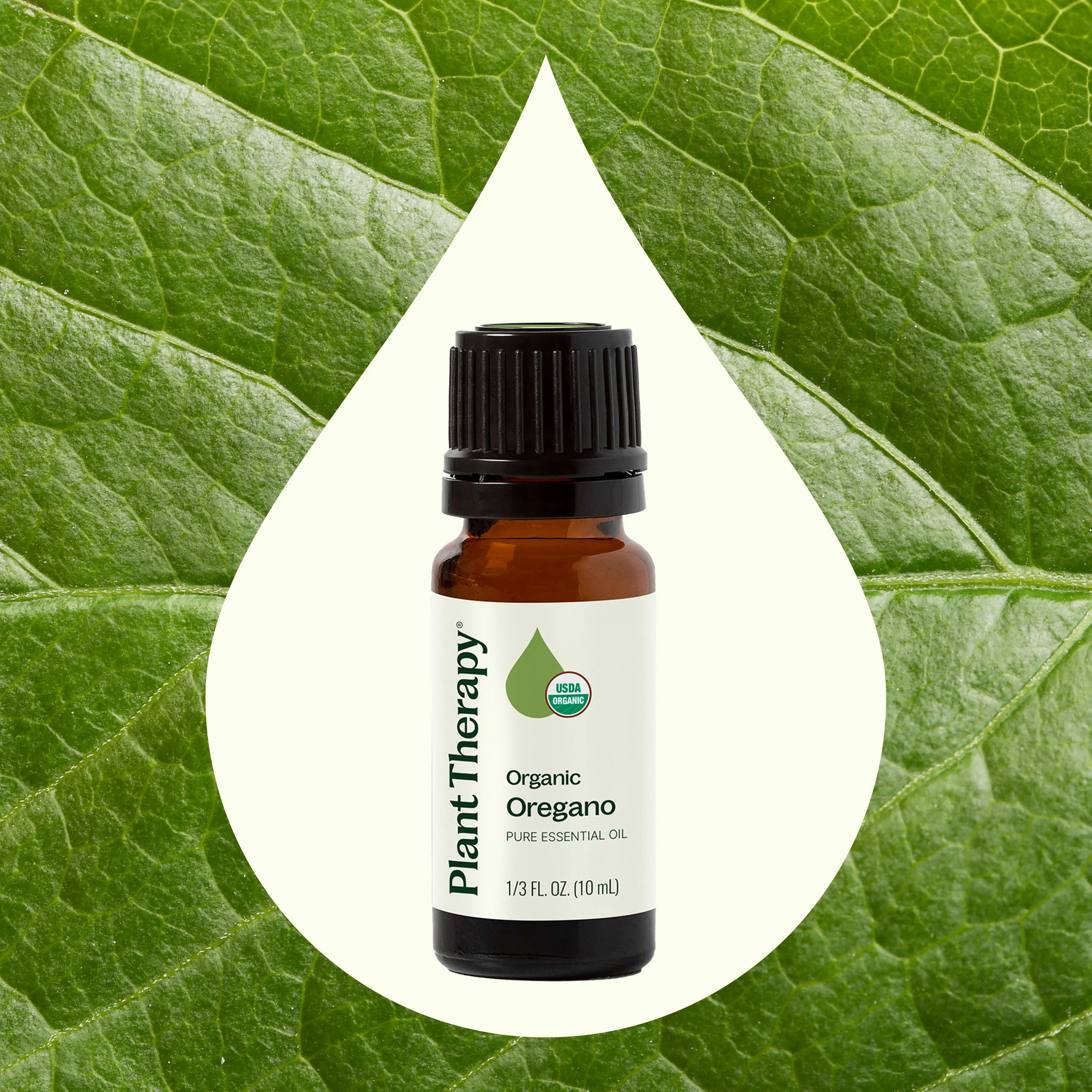 Organic Oregano Essential Oil - Image 2