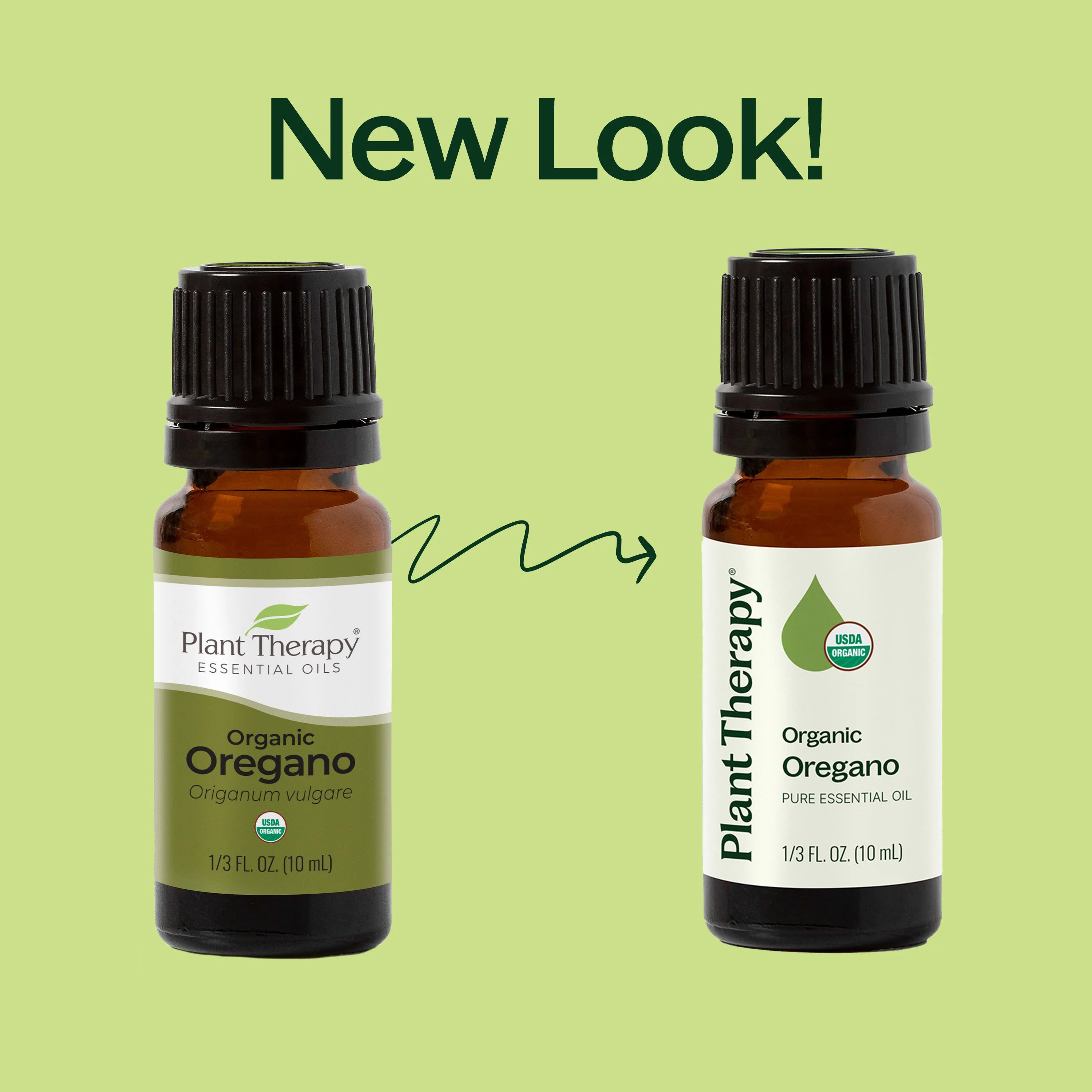 Organic Oregano Essential Oil - Image 3