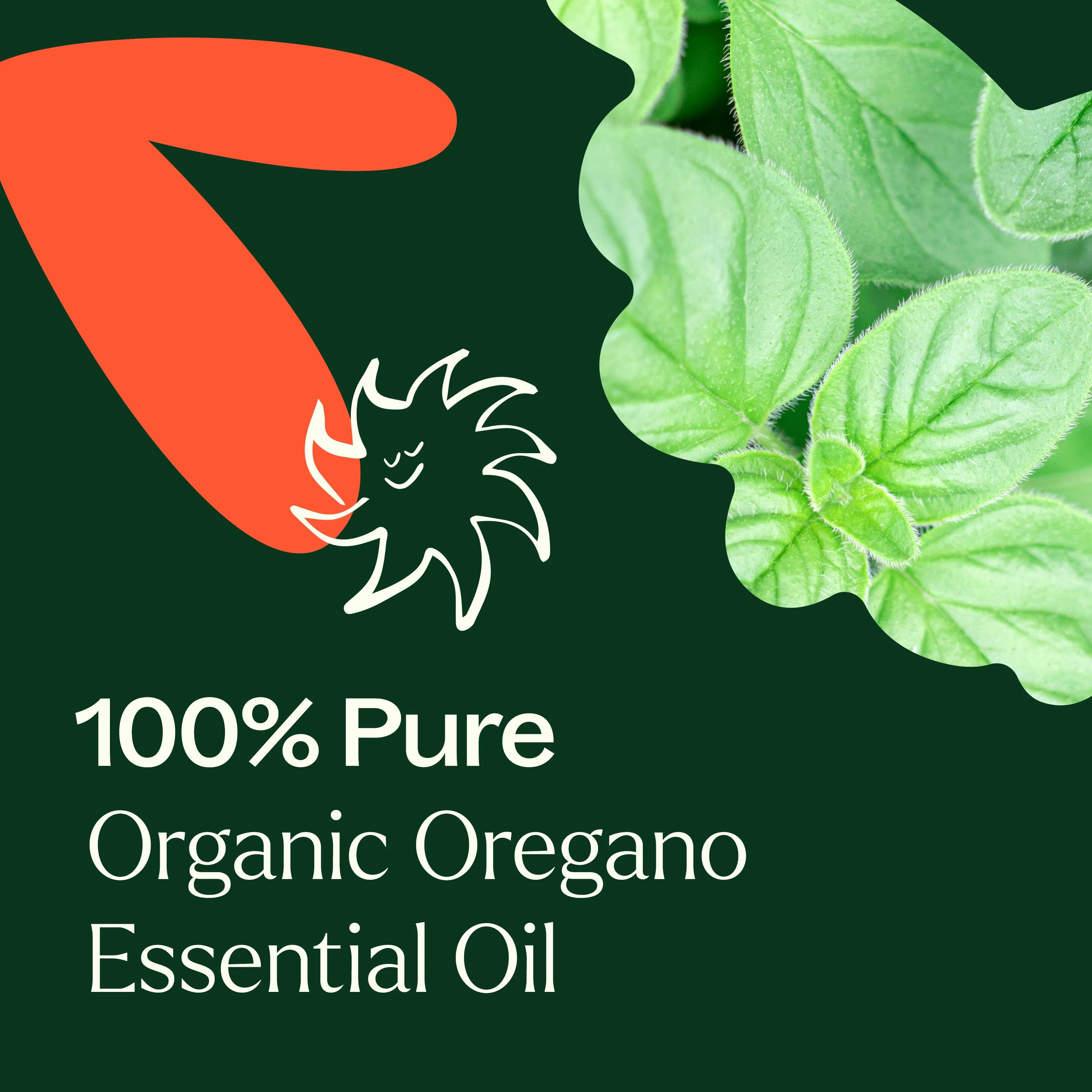 Organic Oregano Essential Oil - Image 6