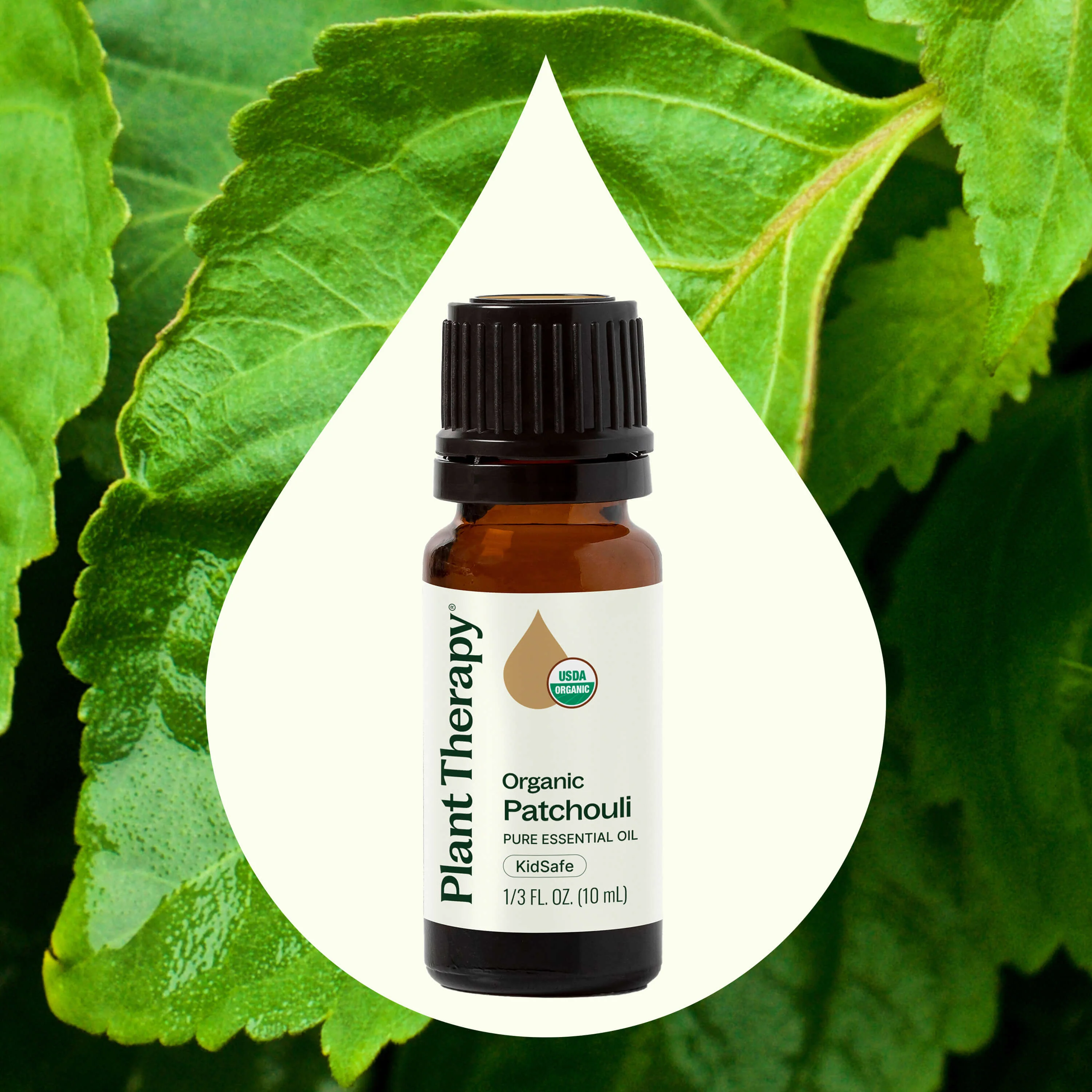 Organic Patchouli Essential Oil - Image 2