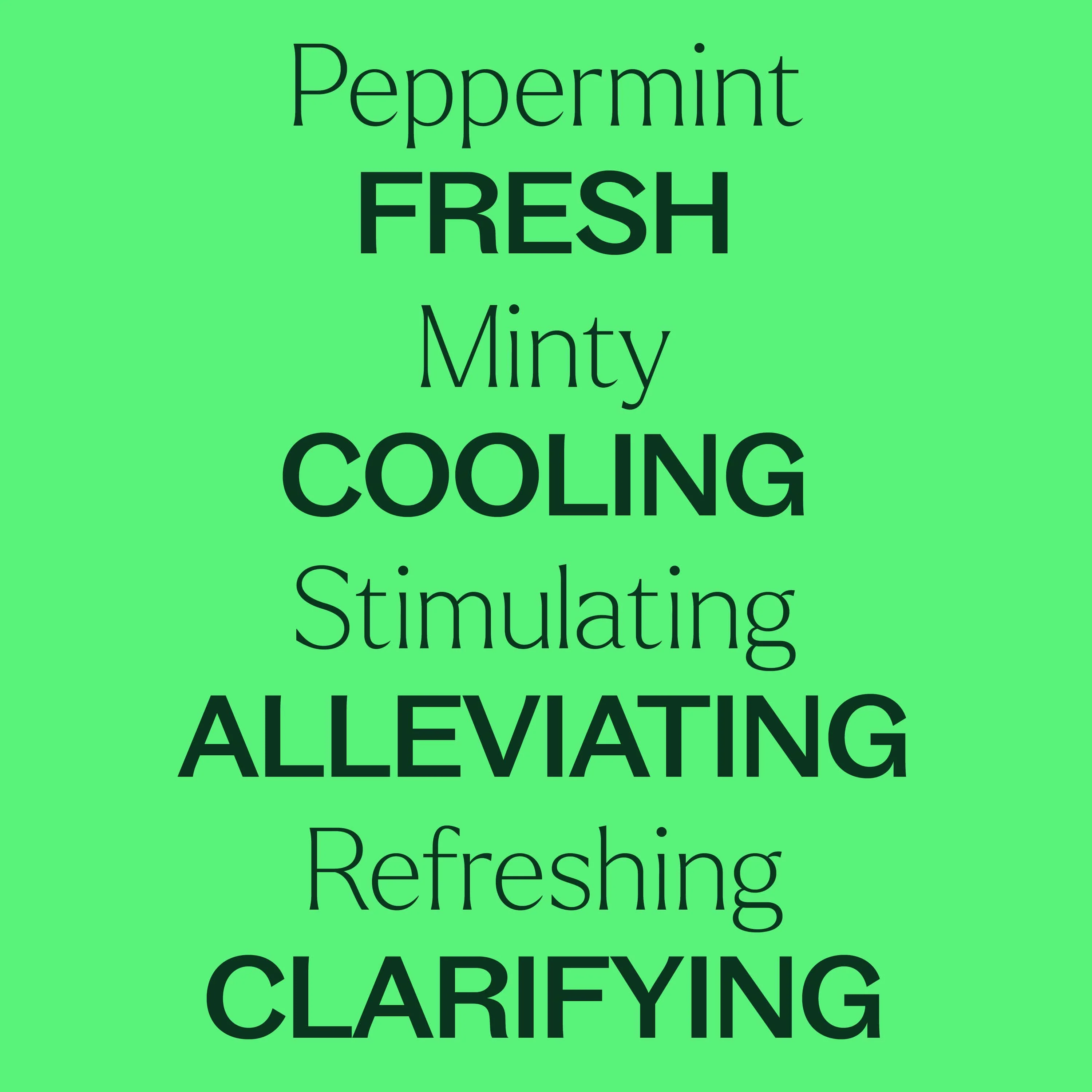 Organic Peppermint Essential Oil - Image 3