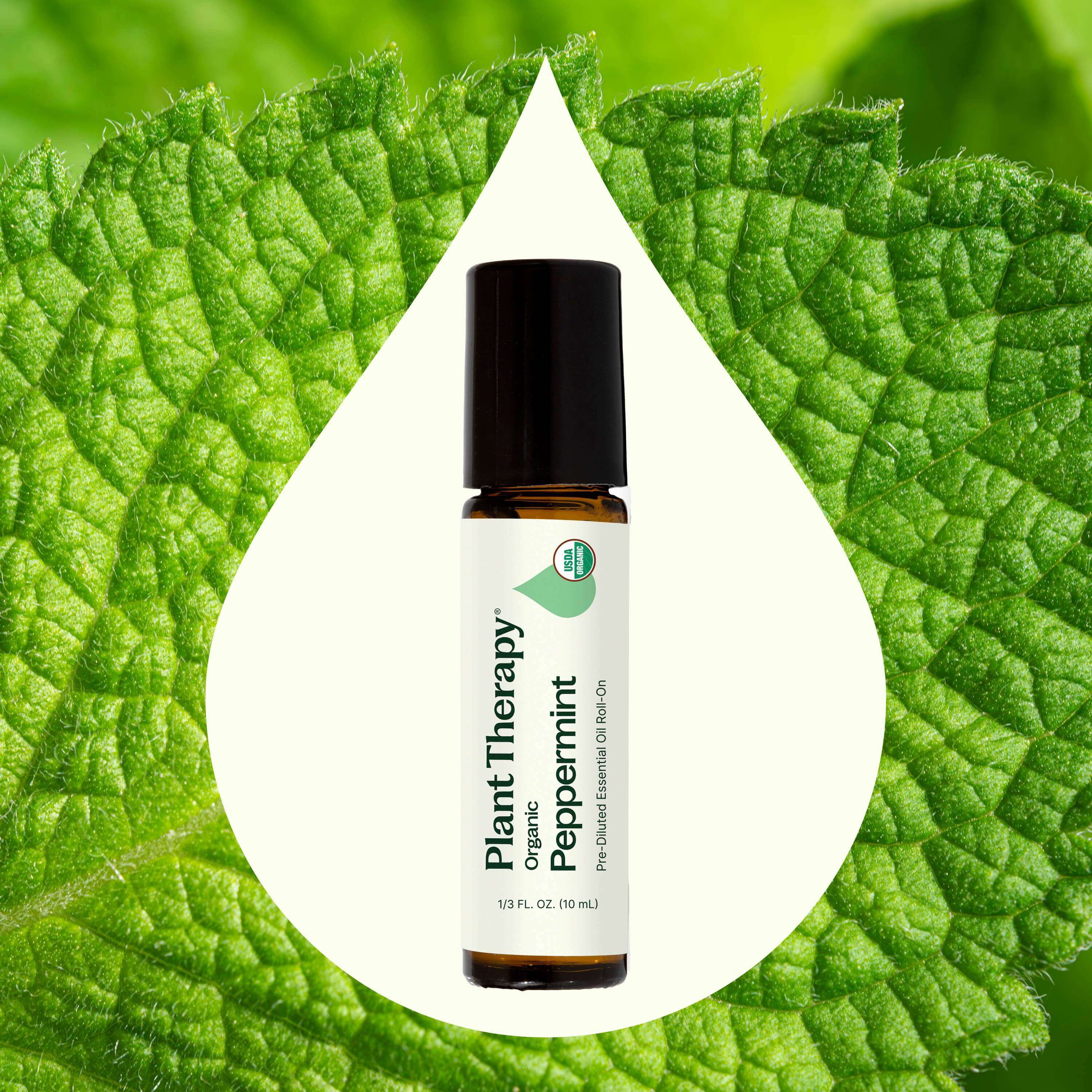 Organic Peppermint Essential Oil Pre-Diluted Roll-On - Image 2