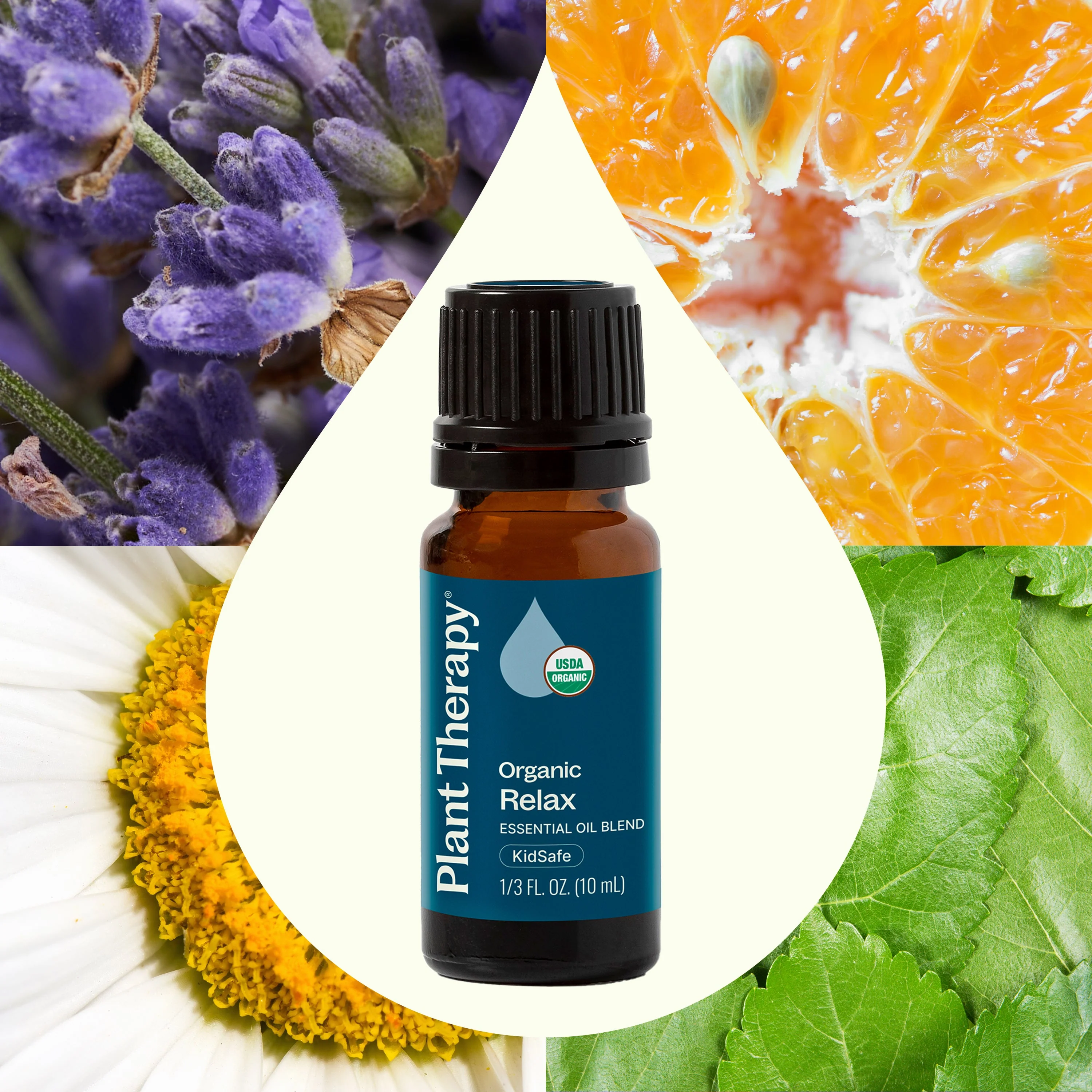Organic Relax Essential Oil Blend - Image 2