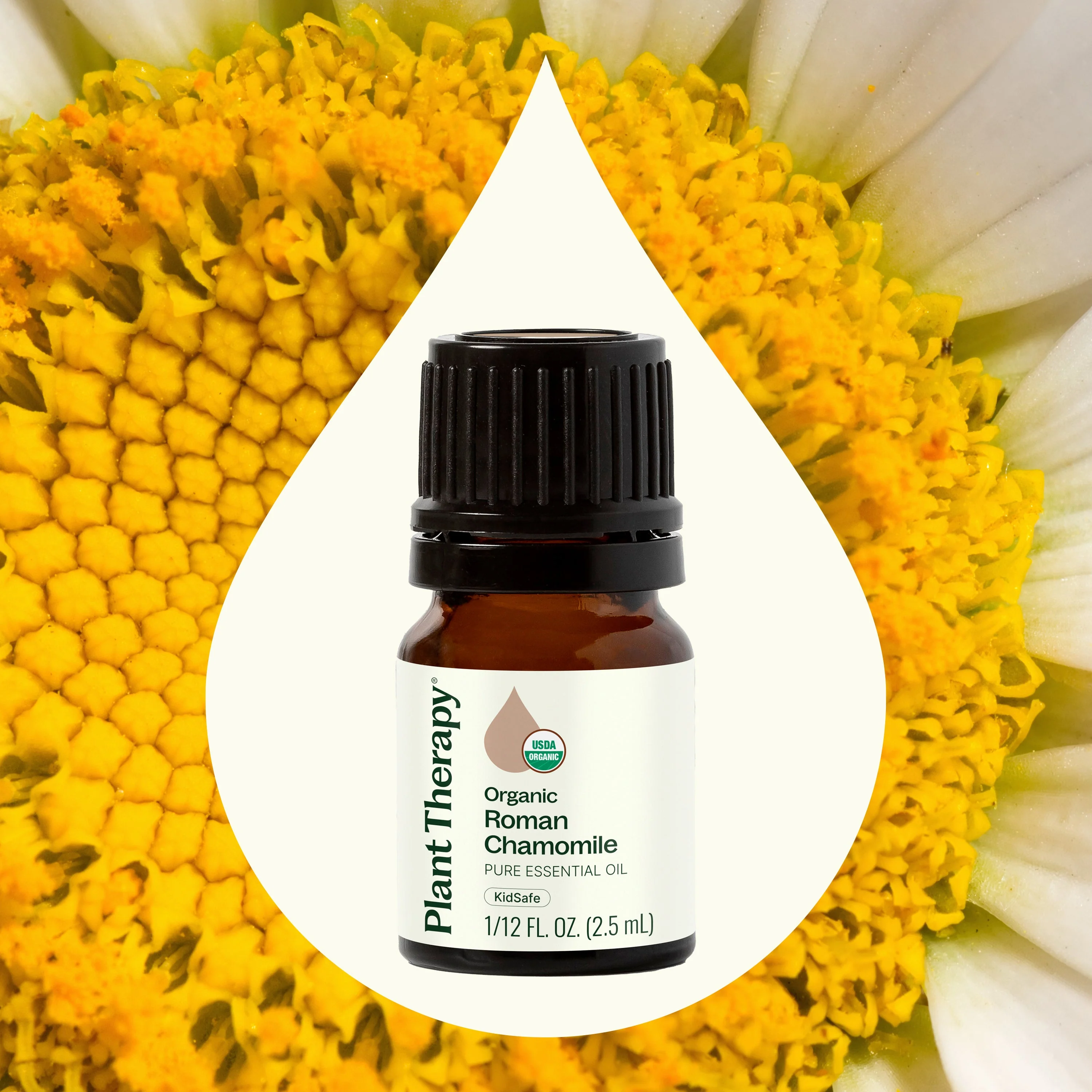 Organic Roman Chamomile Essential Oil - Image 2