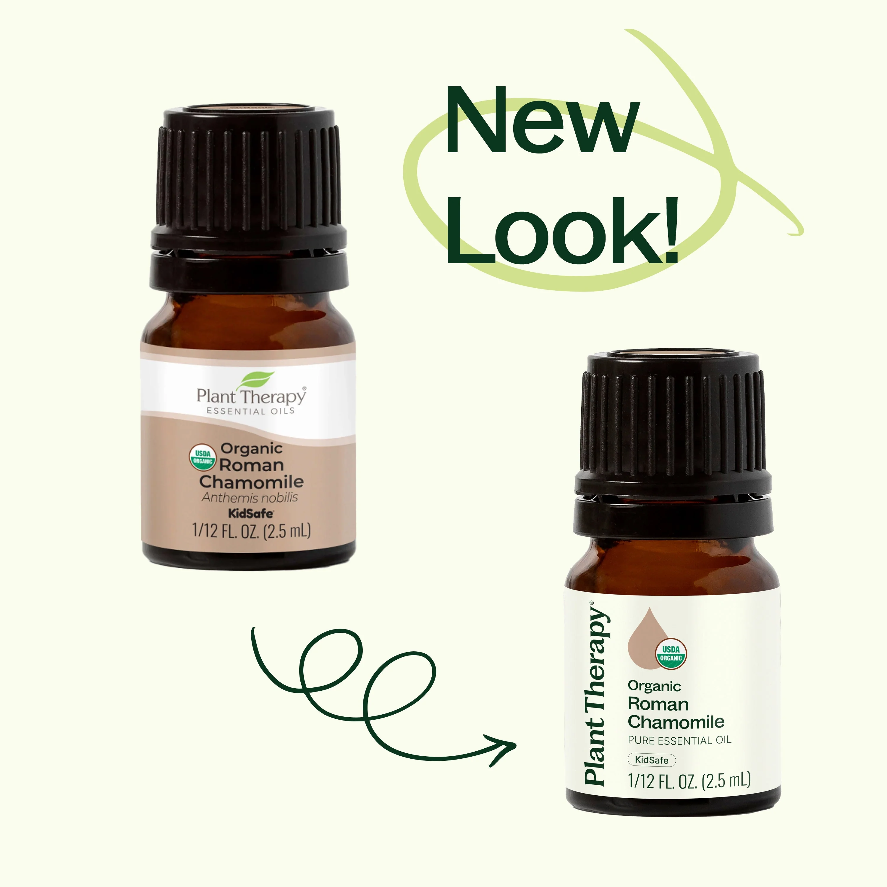 Organic Roman Chamomile Essential Oil - Image 3