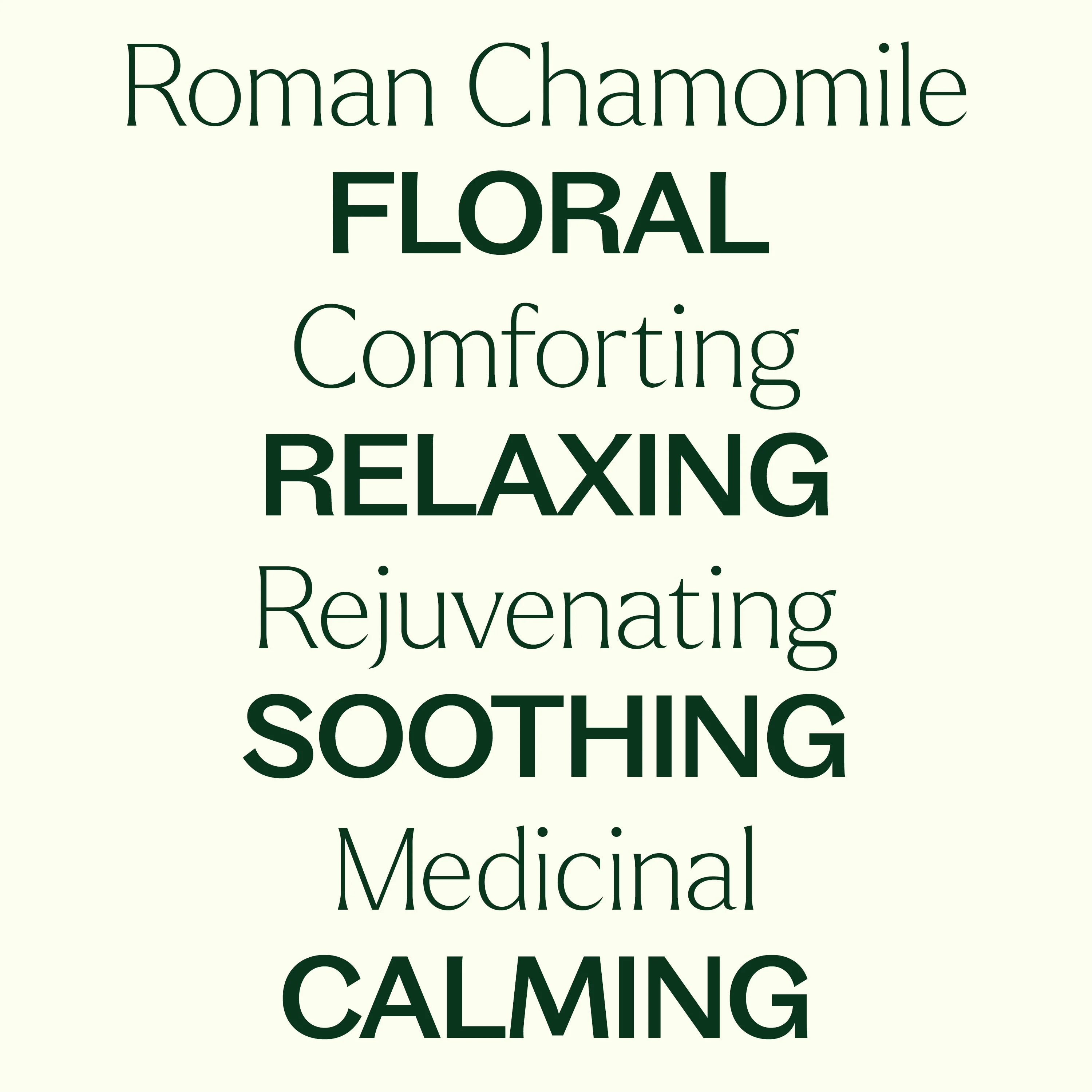 Organic Roman Chamomile Essential Oil - Image 6